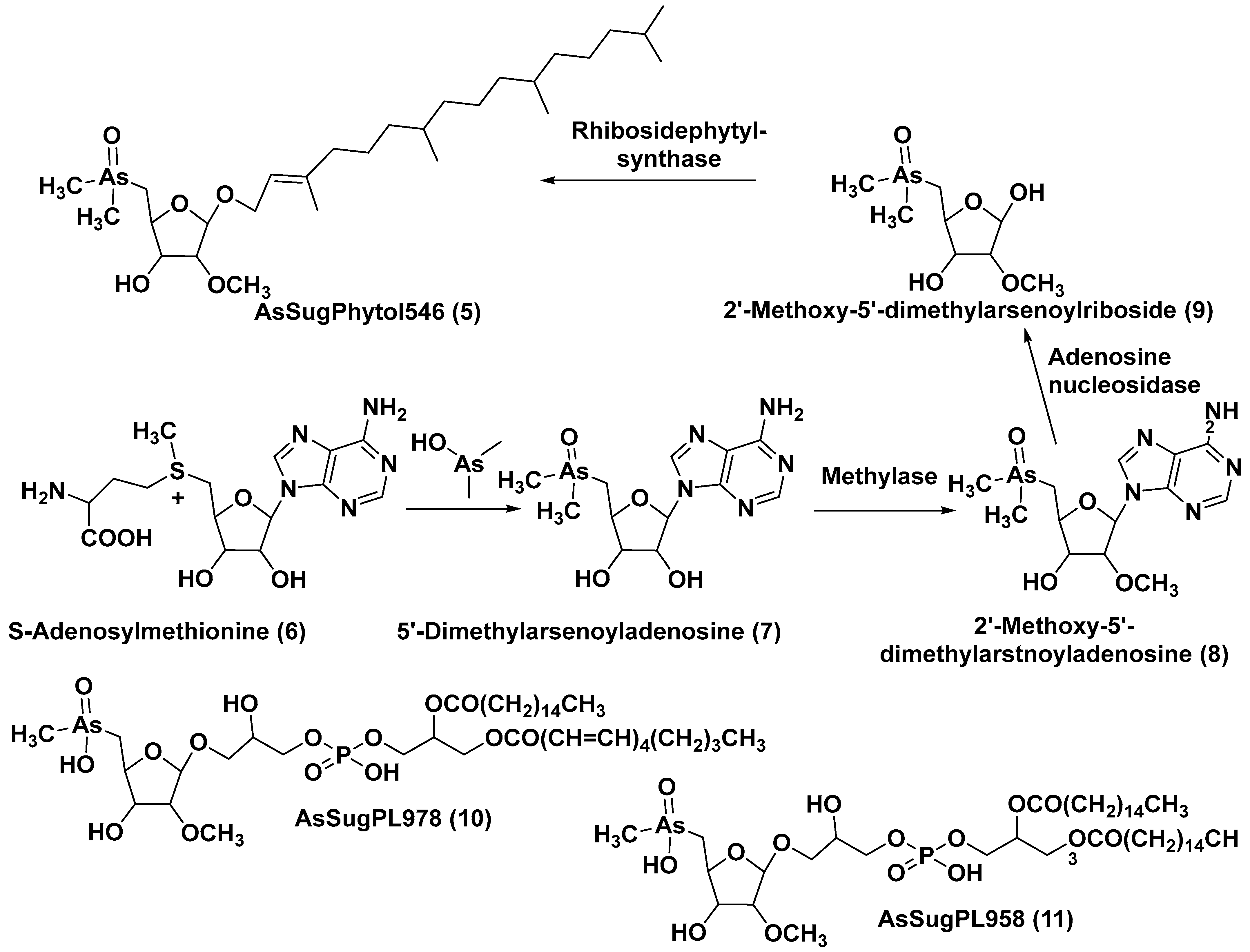 Marinedrugs 21 00427 g002