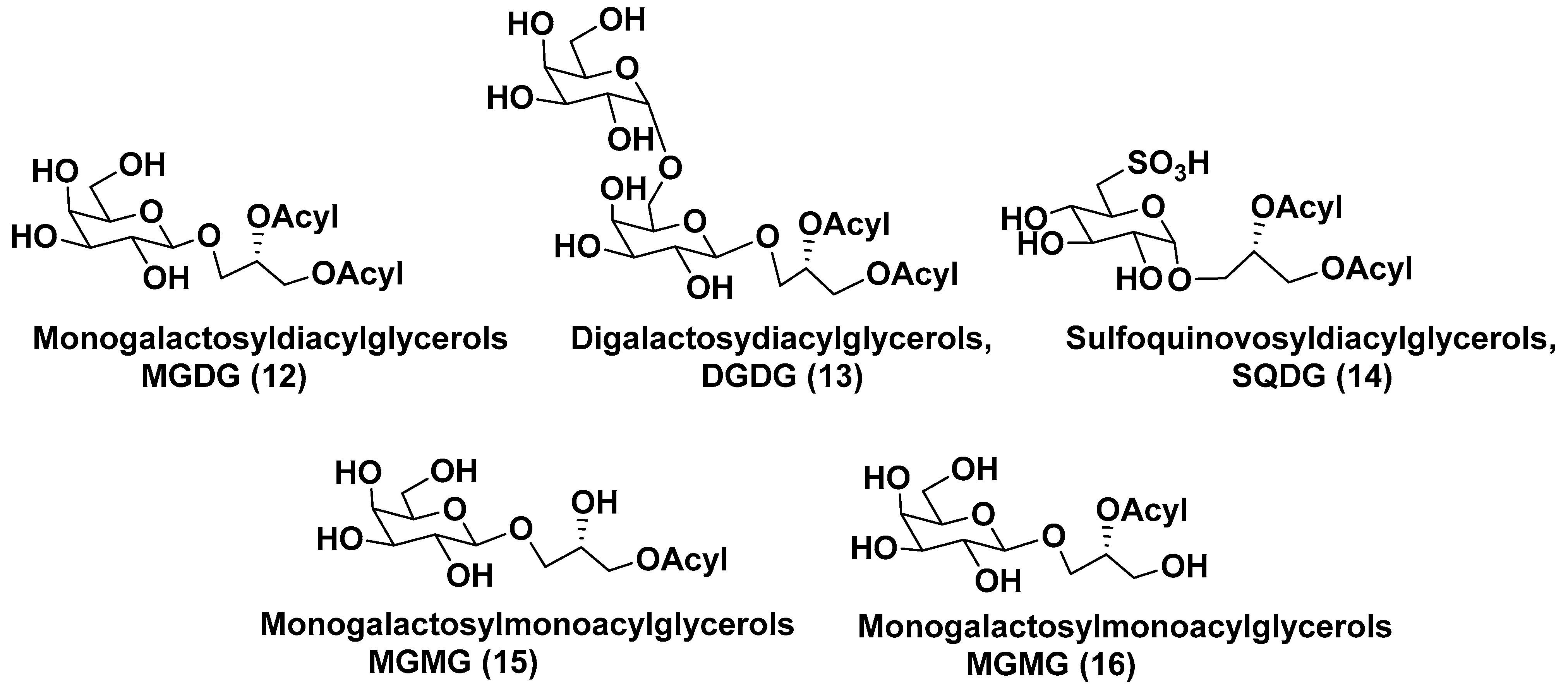 Marinedrugs 21 00427 g003
