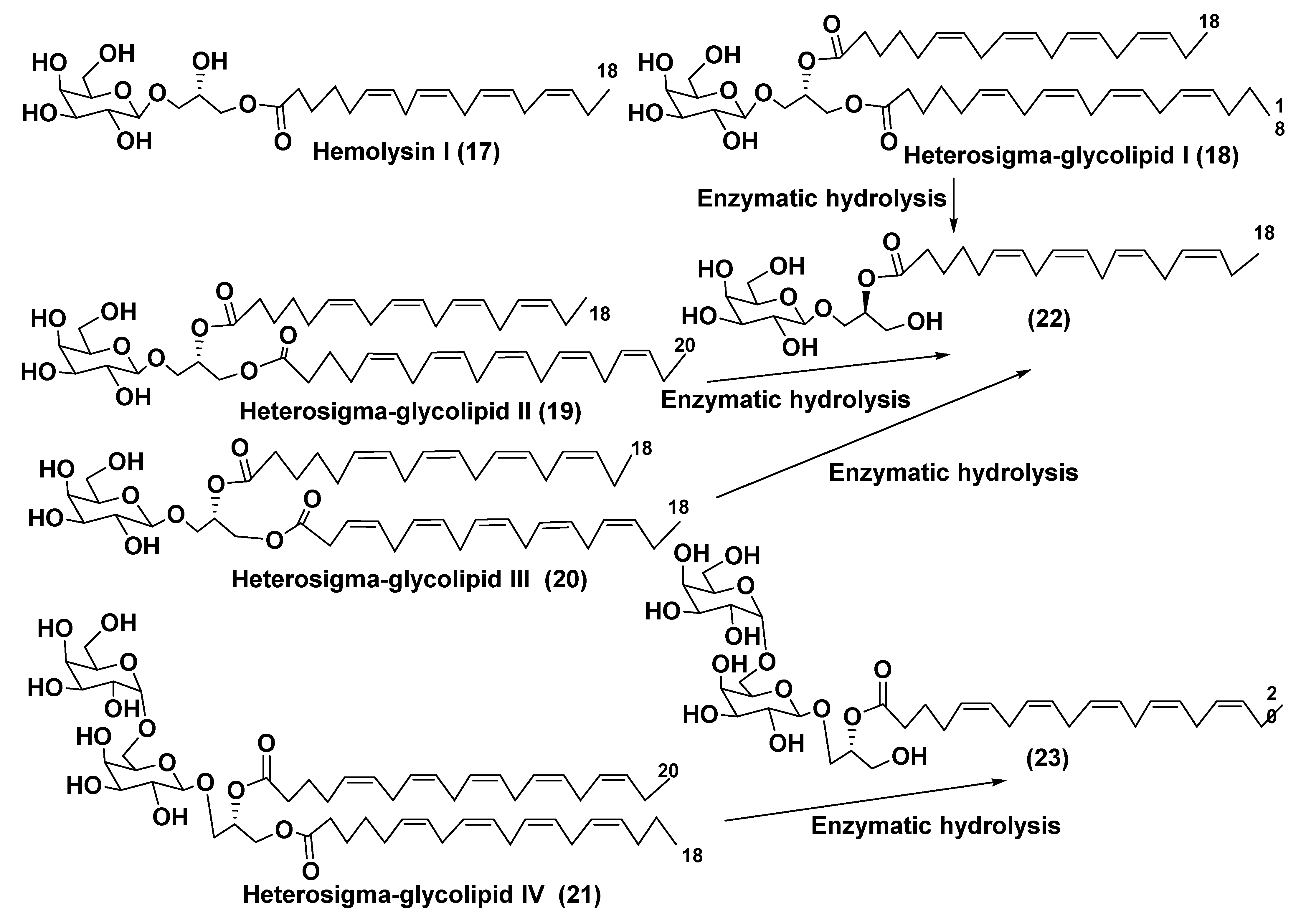 Marinedrugs 21 00427 g004