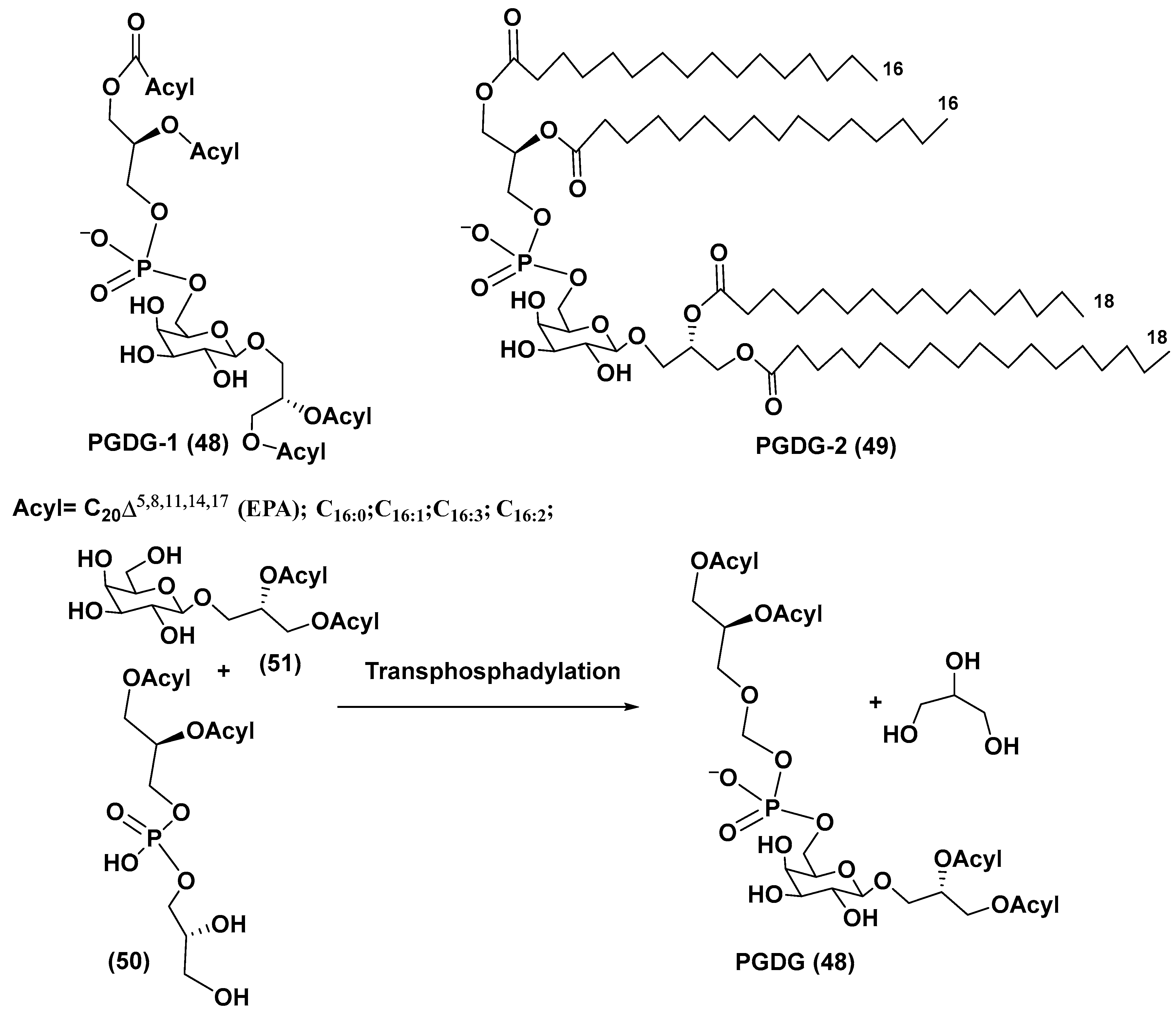 Marinedrugs 21 00427 g007
