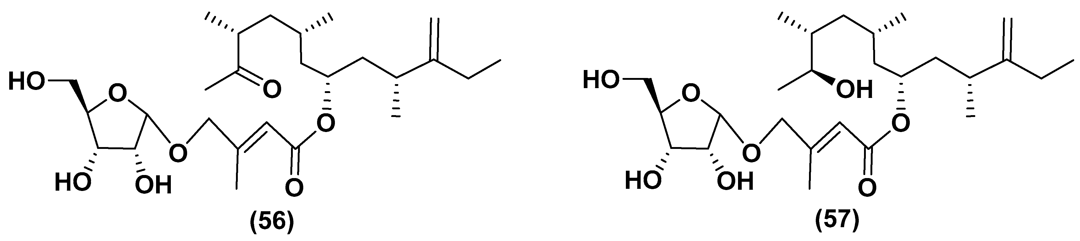 Marinedrugs 21 00427 g010