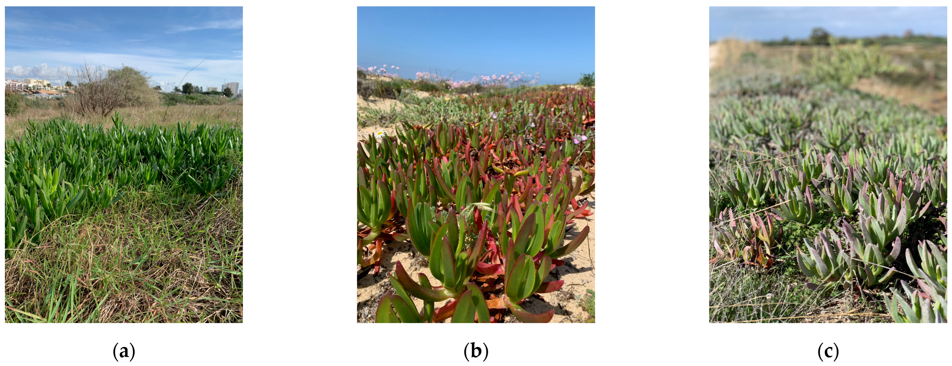 Marinedrugs 21 00436 g001