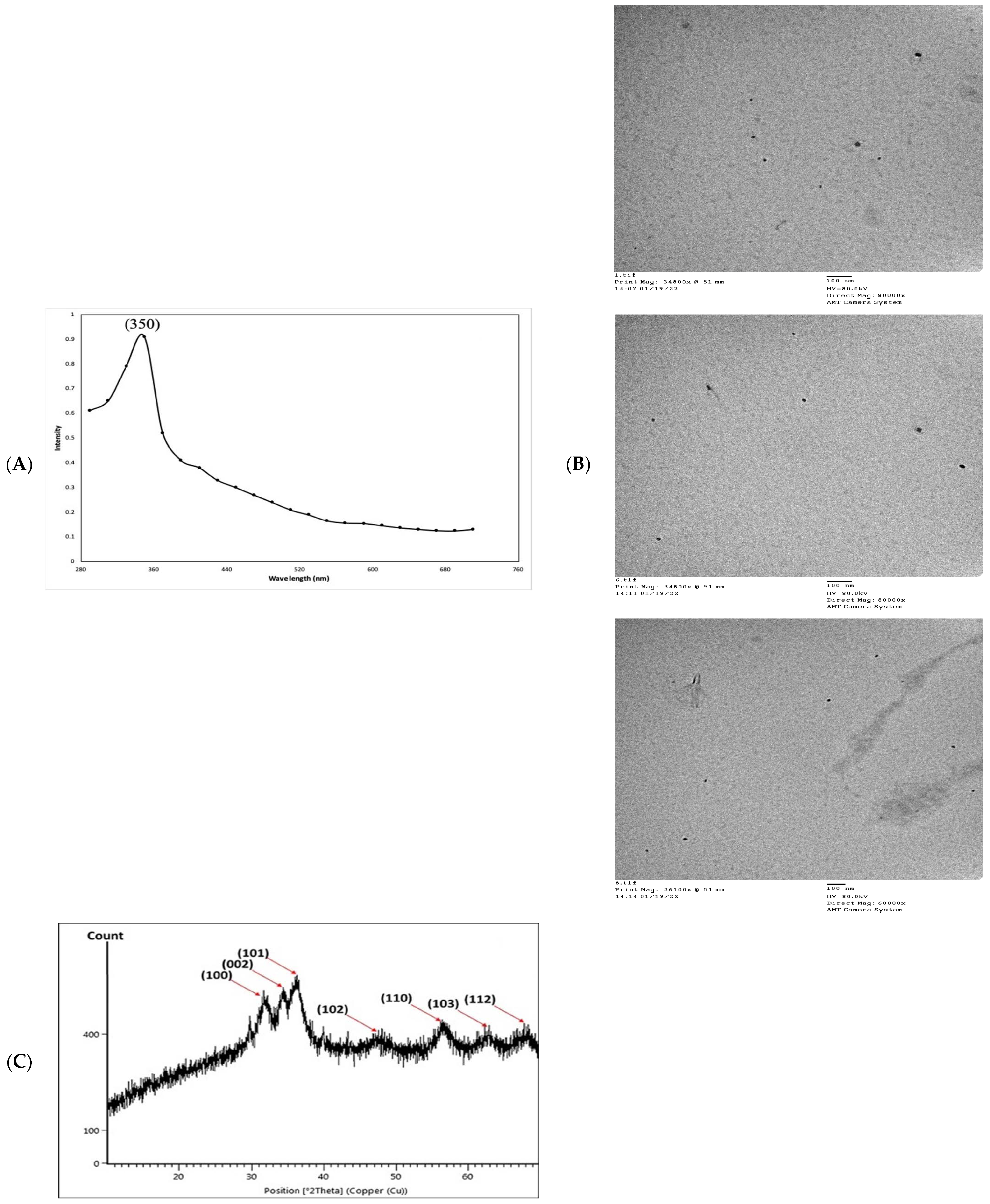 Marinedrugs 21 00437 g002a Marinedrugs 21 00437 g002a