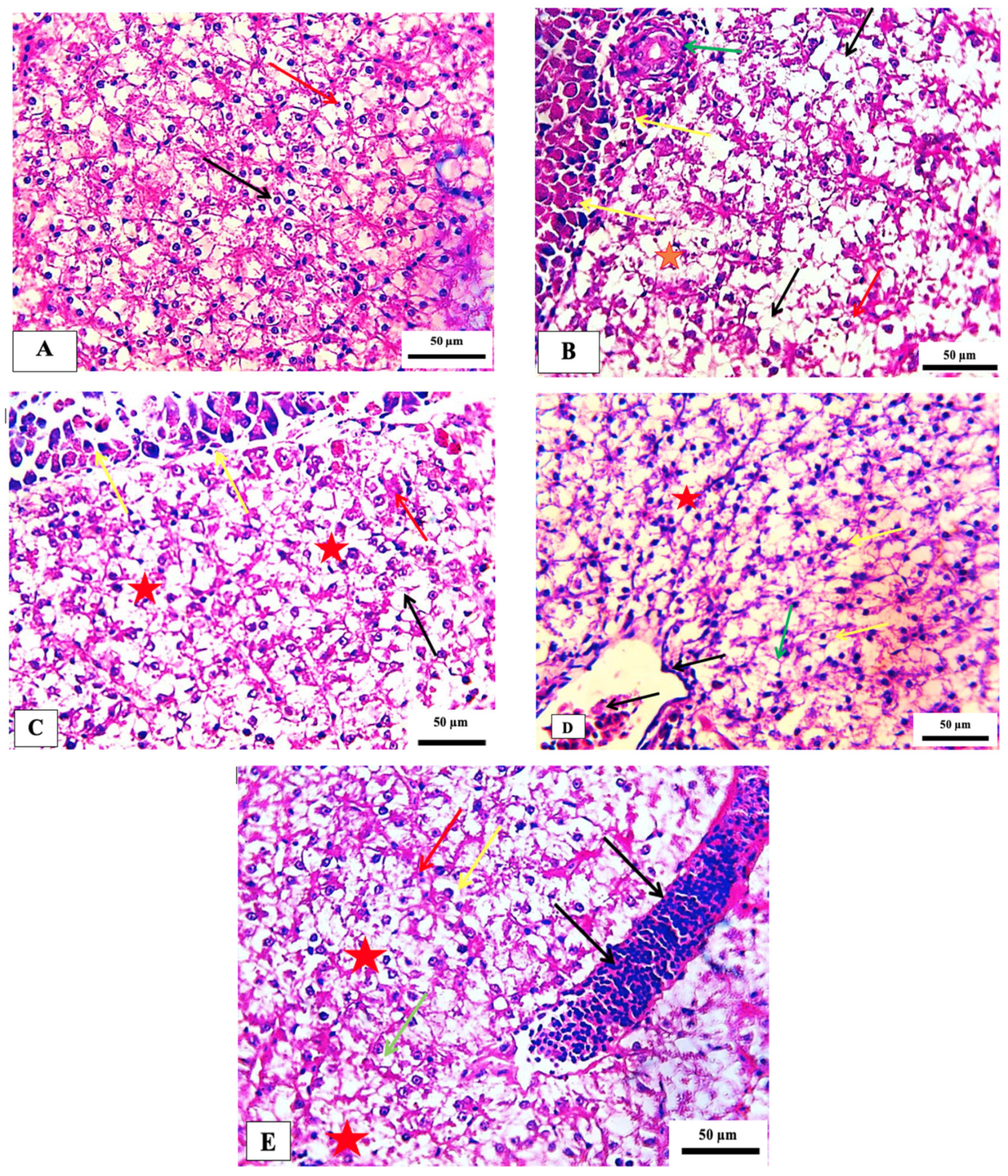 Marinedrugs 21 00437 g005 Marinedrugs 21 00437 g005