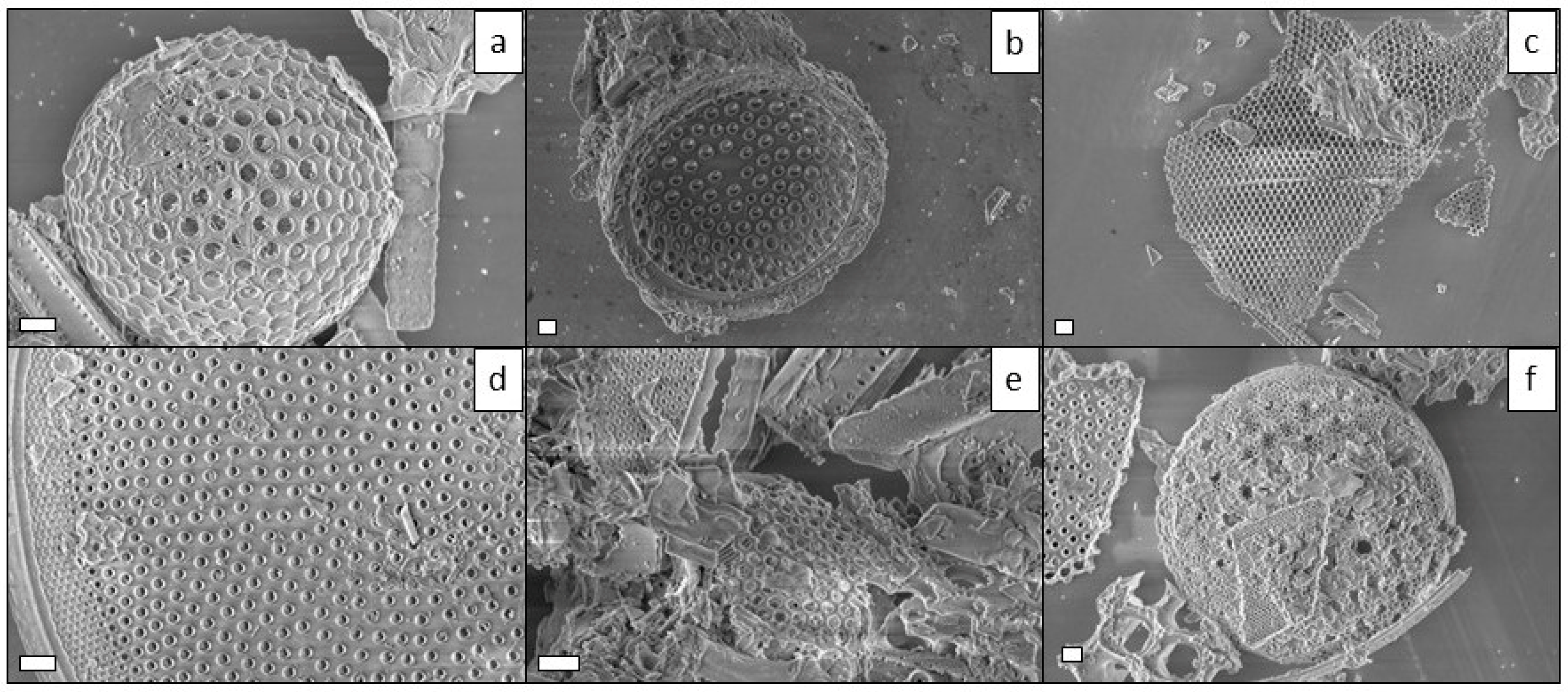 Marinedrugs 21 00438 g003