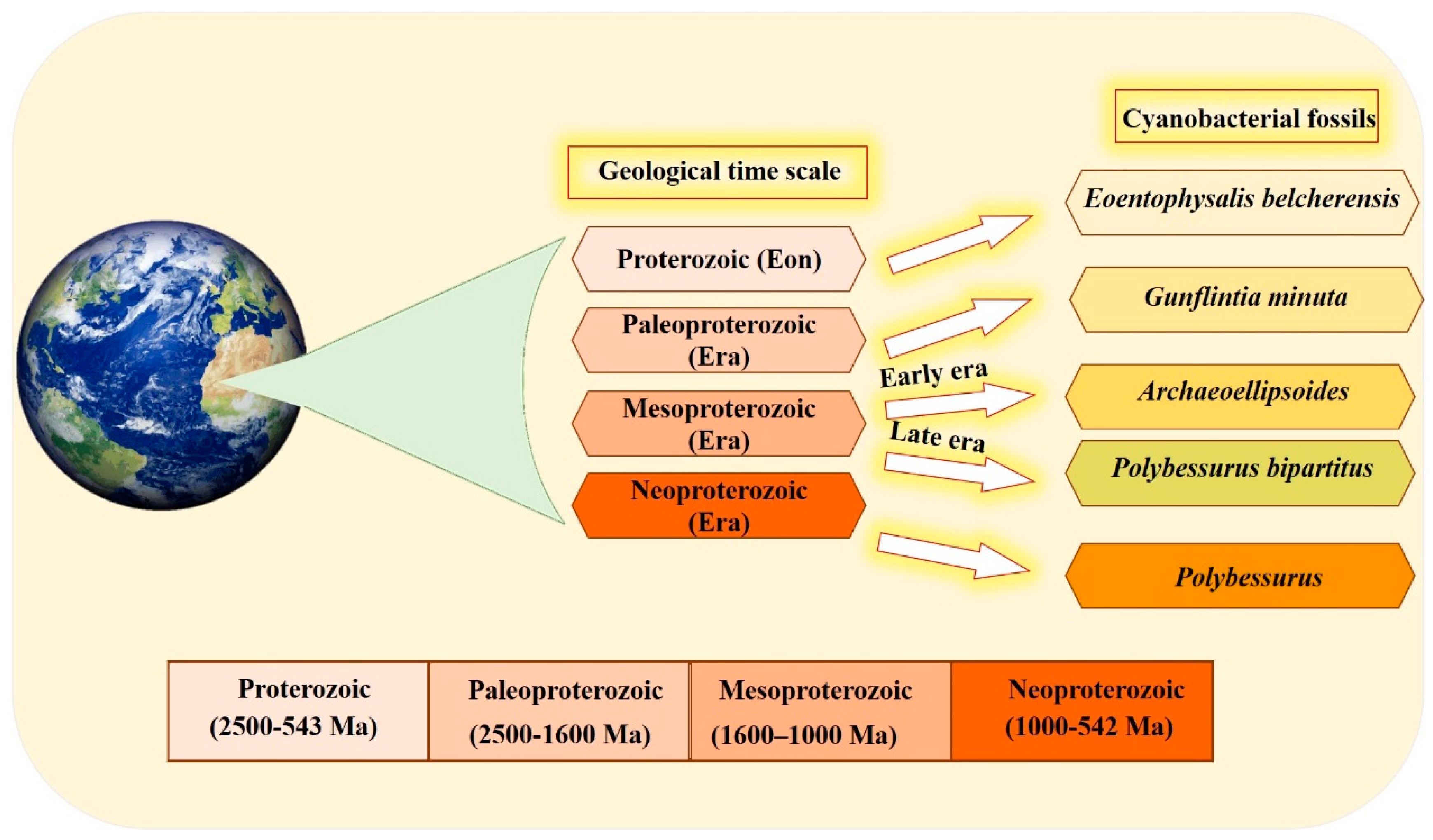 Marinedrugs 21 00439 g001 Marinedrugs 21 00439 g001