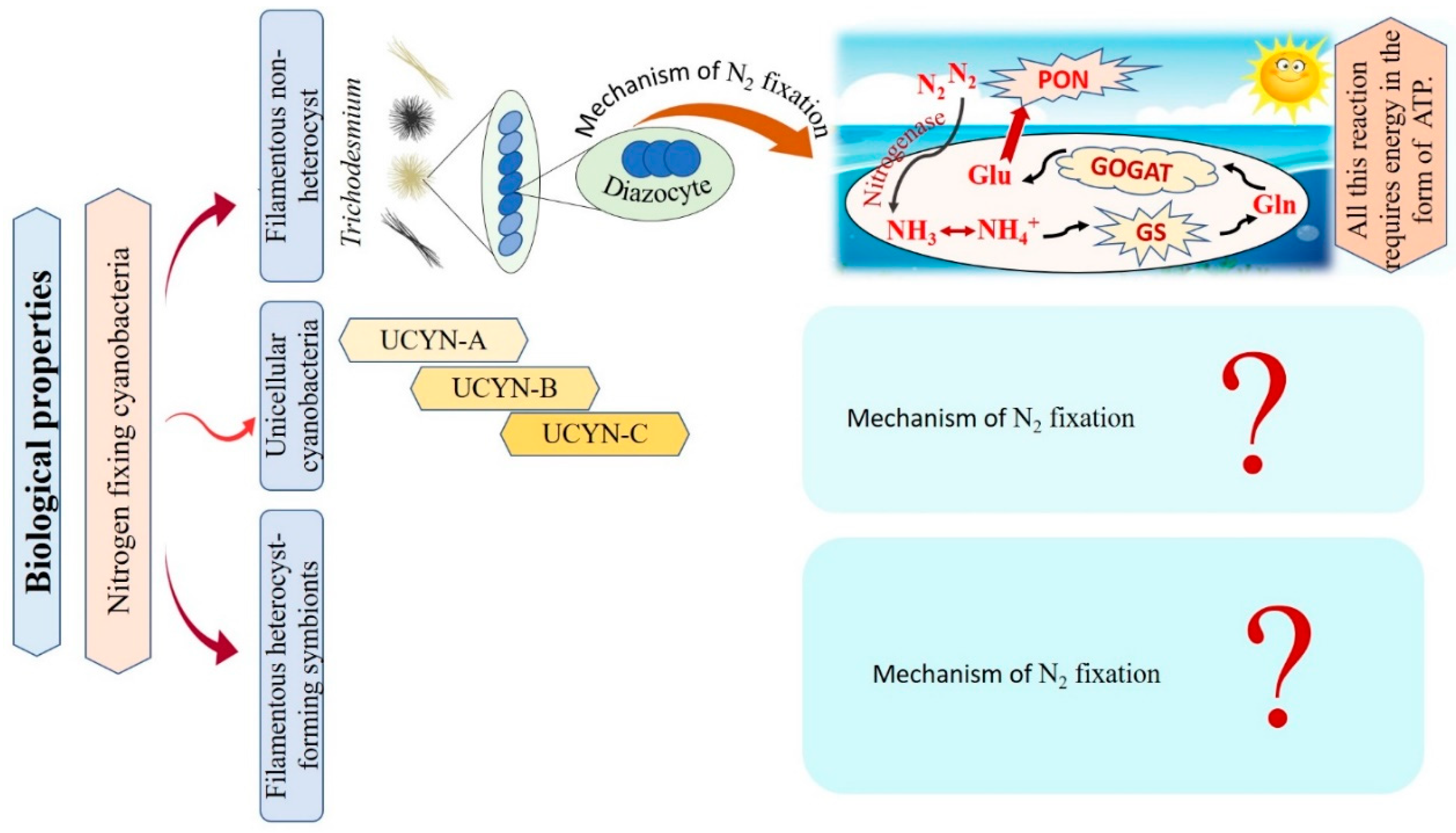 Marinedrugs 21 00439 g005 Marinedrugs 21 00439 g005