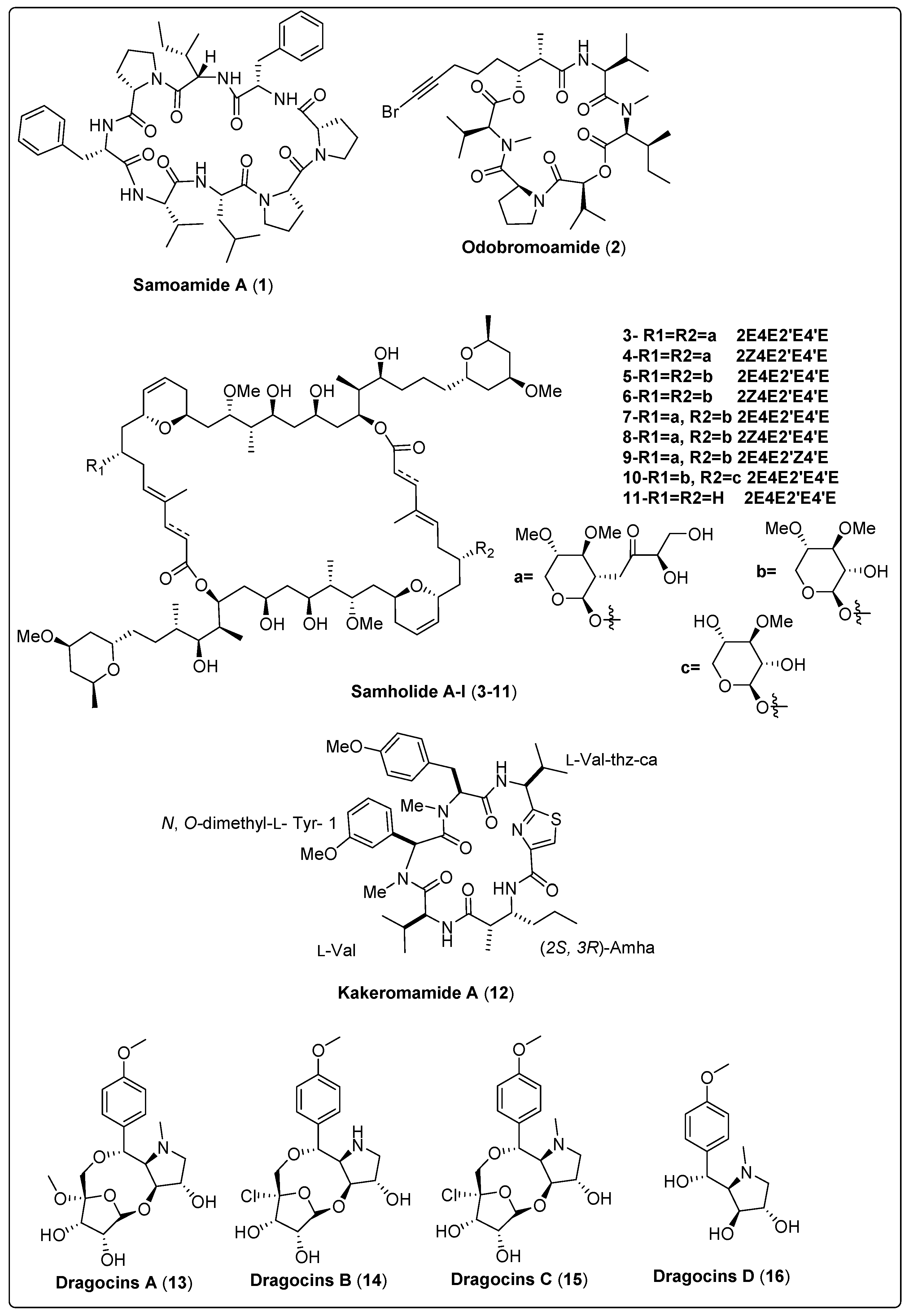 Marinedrugs 21 00439 sch001a Marinedrugs 21 00439 sch001a