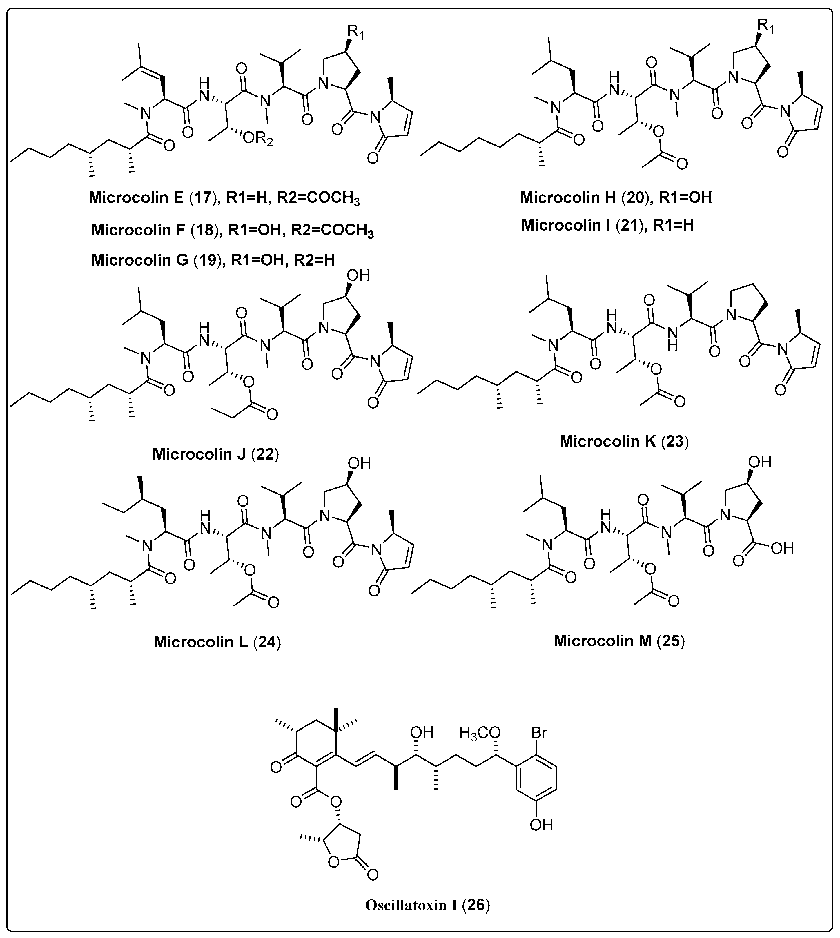 Marinedrugs 21 00439 sch001b Marinedrugs 21 00439 sch001b