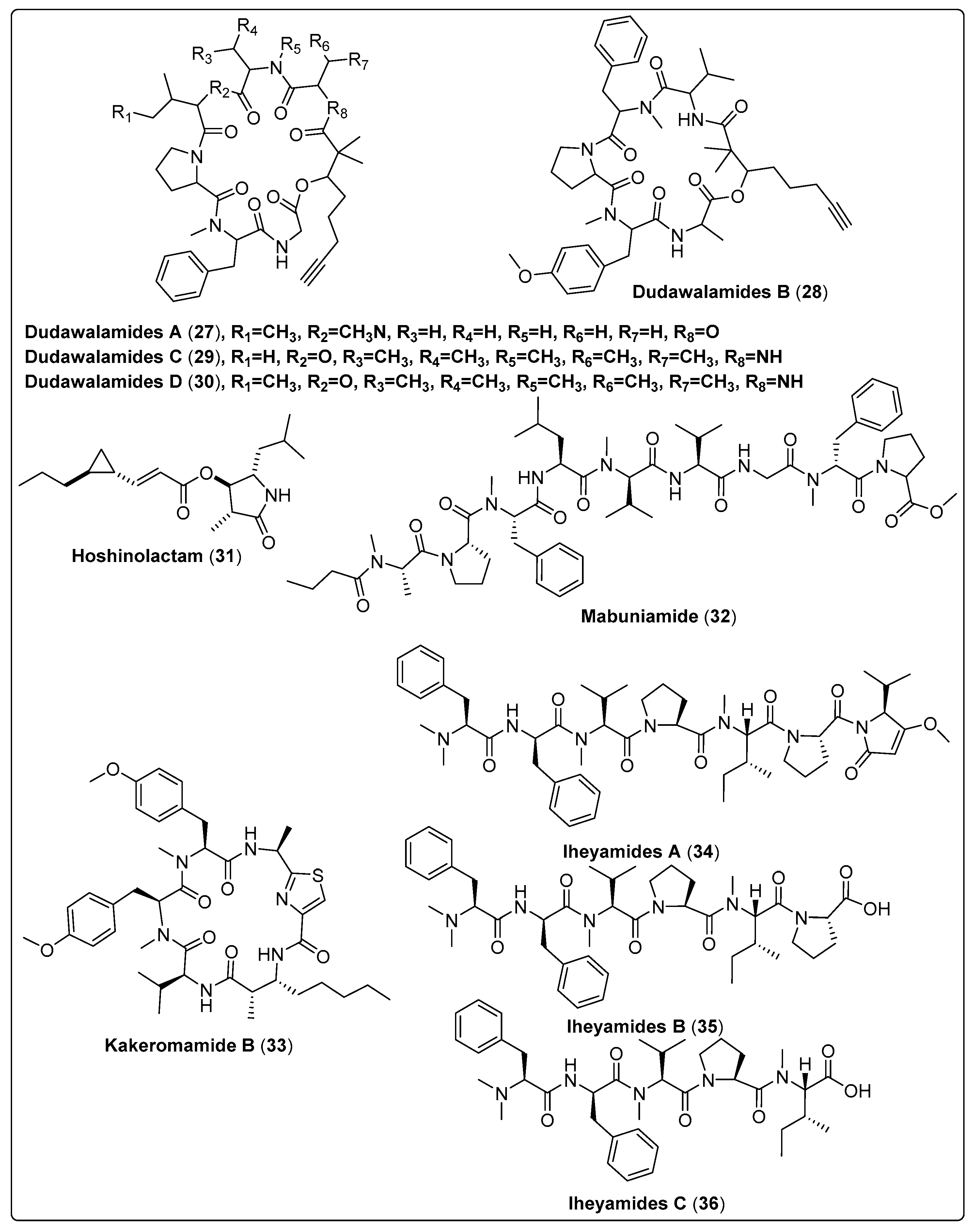 Marinedrugs 21 00439 sch002a Marinedrugs 21 00439 sch002a