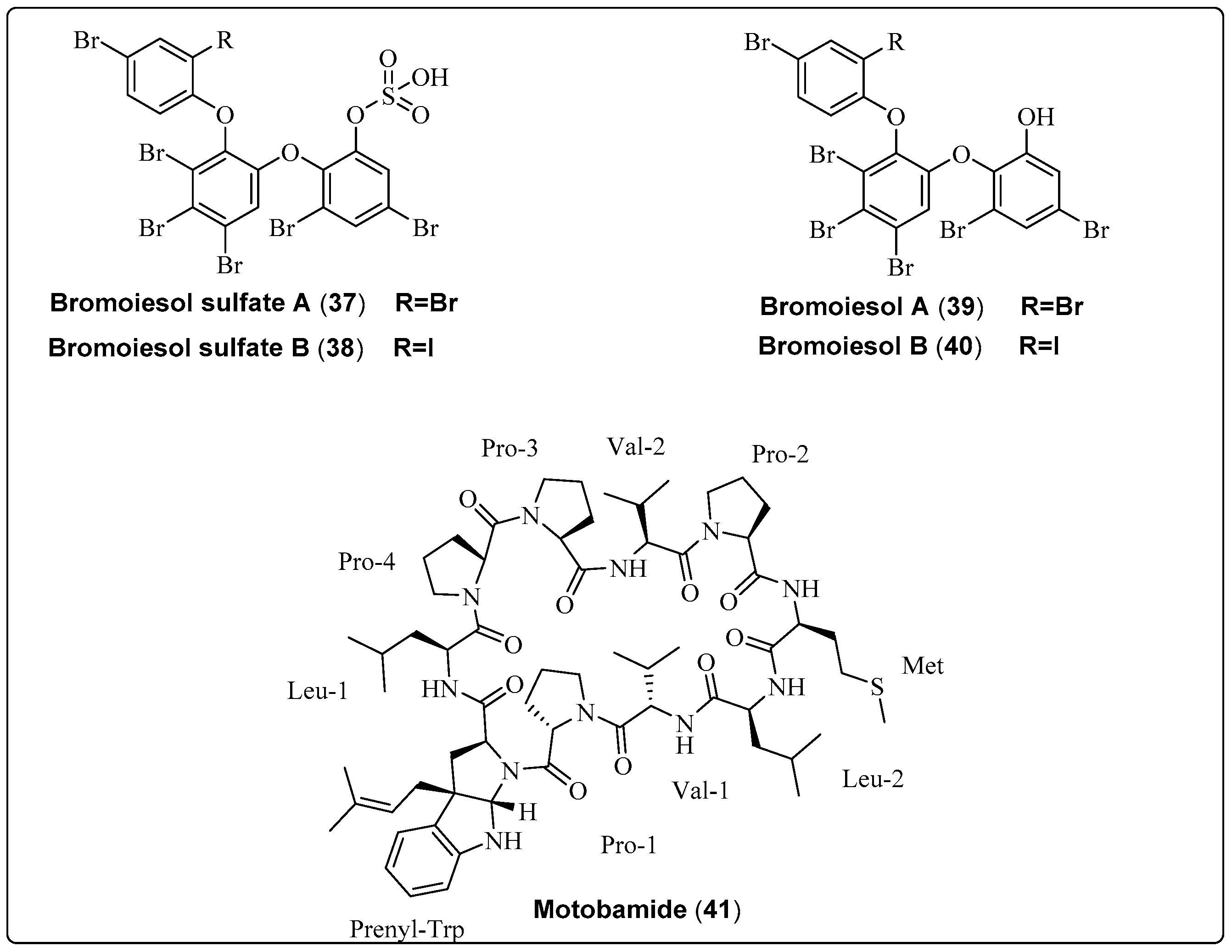 Marinedrugs 21 00439 sch002b Marinedrugs 21 00439 sch002b
