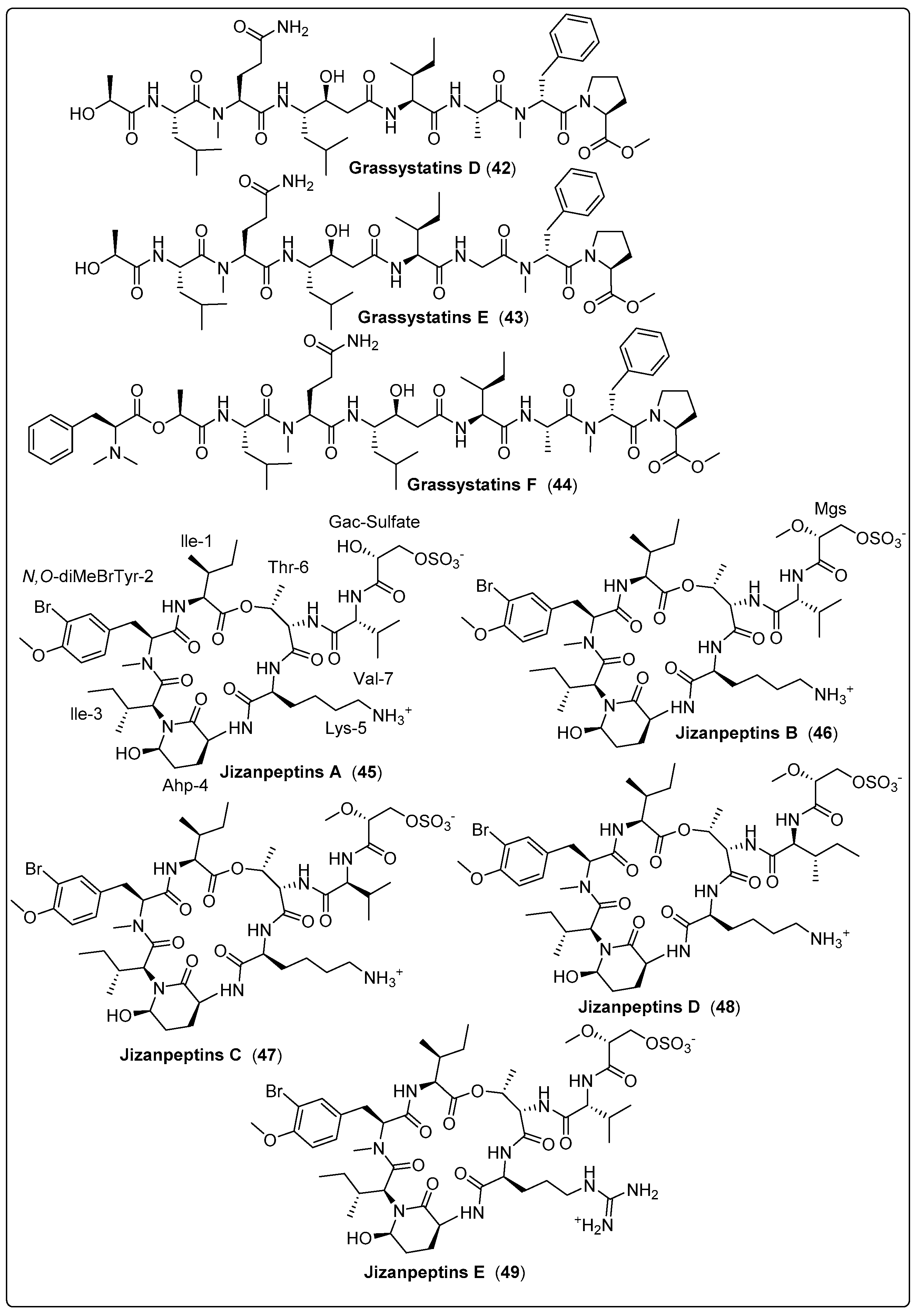 Marinedrugs 21 00439 sch003a Marinedrugs 21 00439 sch003a