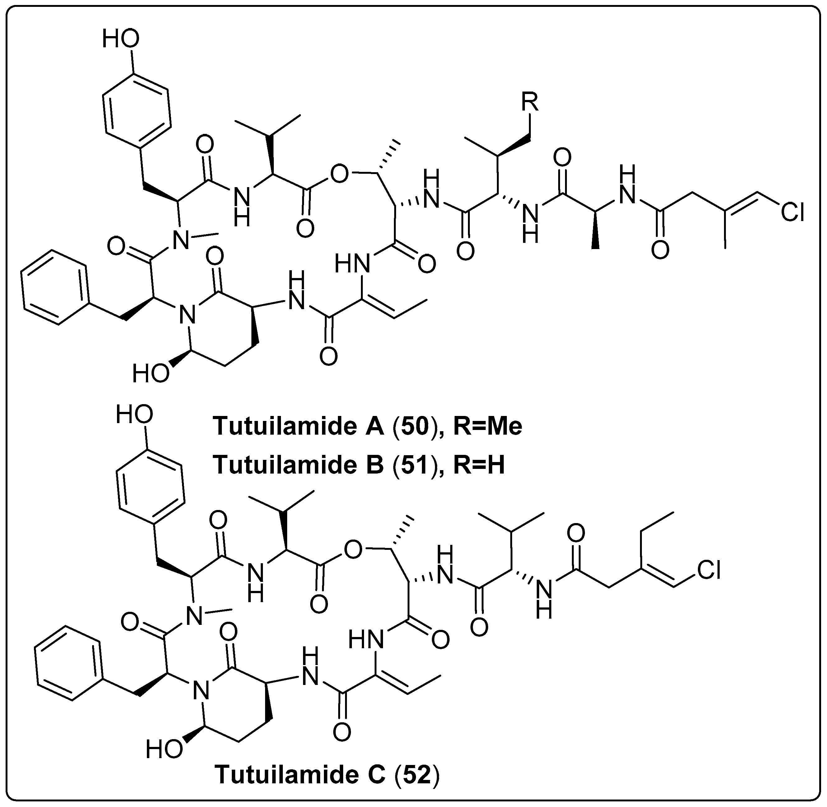 Marinedrugs 21 00439 sch003b Marinedrugs 21 00439 sch003b