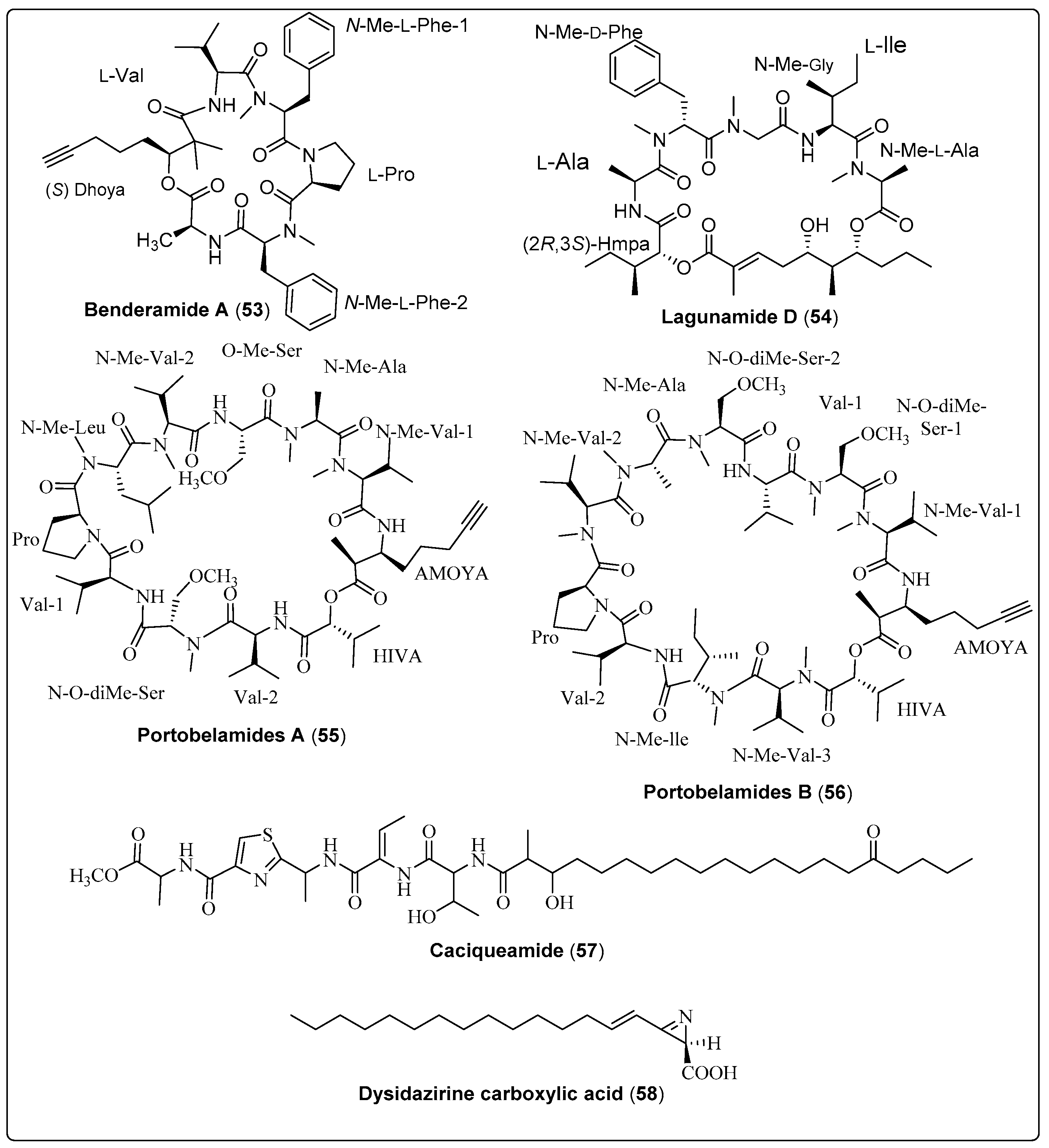 Marinedrugs 21 00439 sch004 Marinedrugs 21 00439 sch004