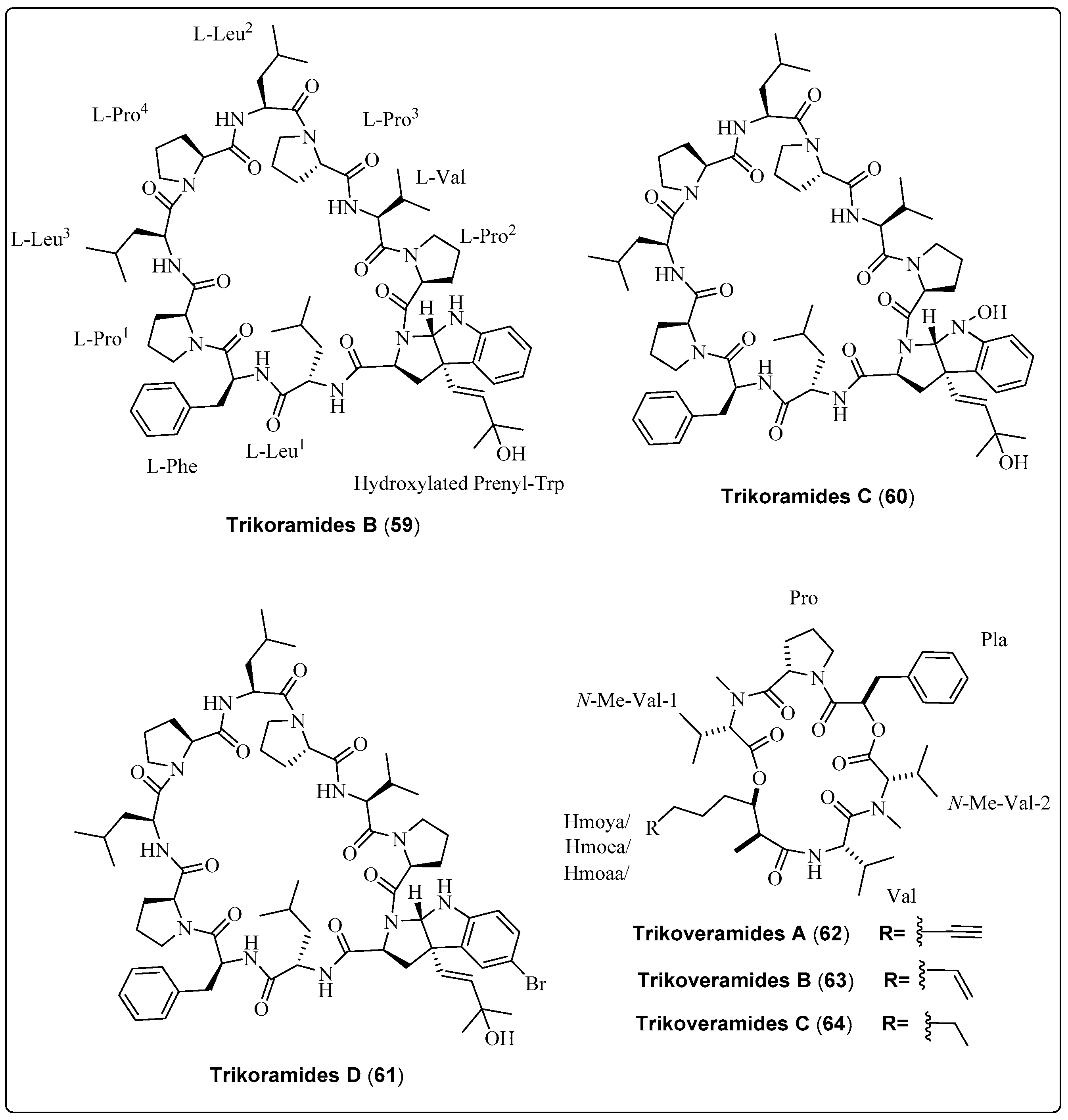 Marinedrugs 21 00439 sch005 Marinedrugs 21 00439 sch005