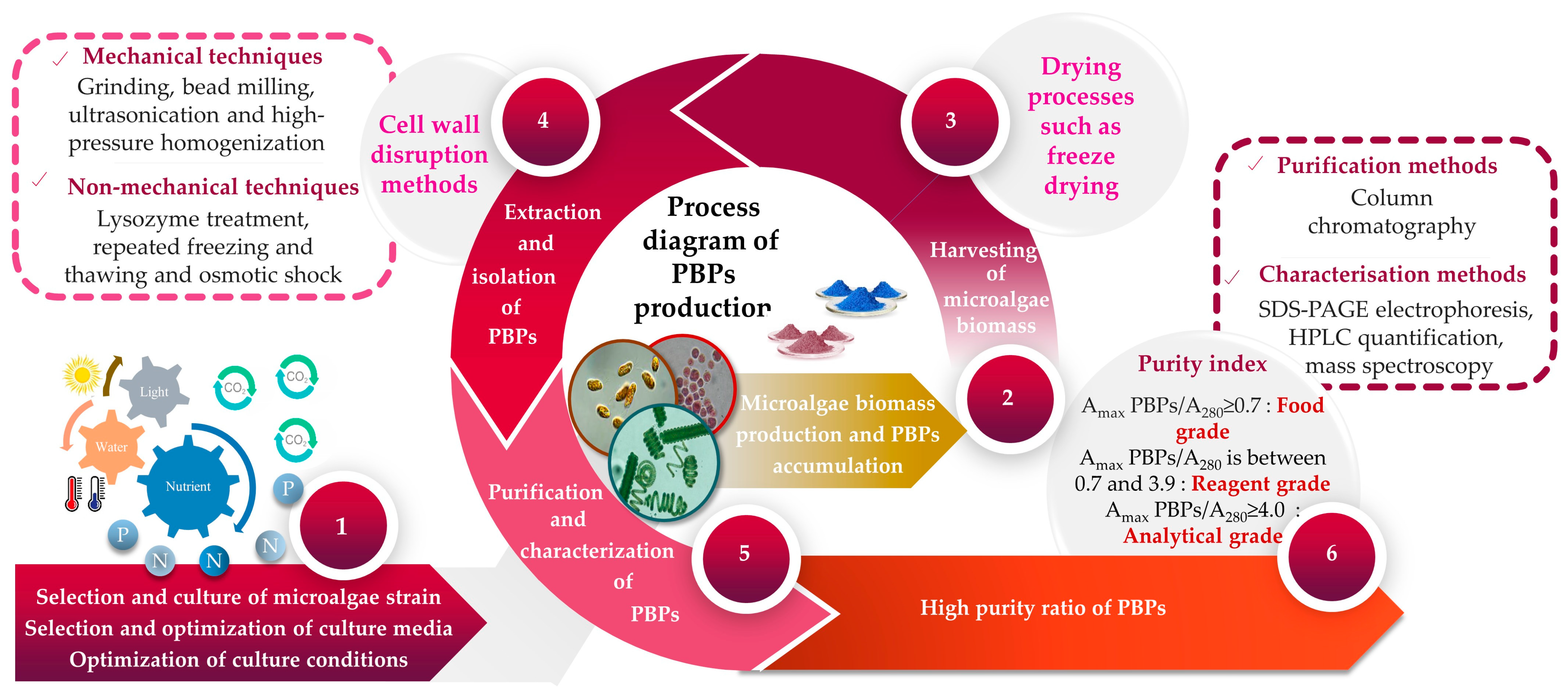 Marinedrugs 21 00440 g002