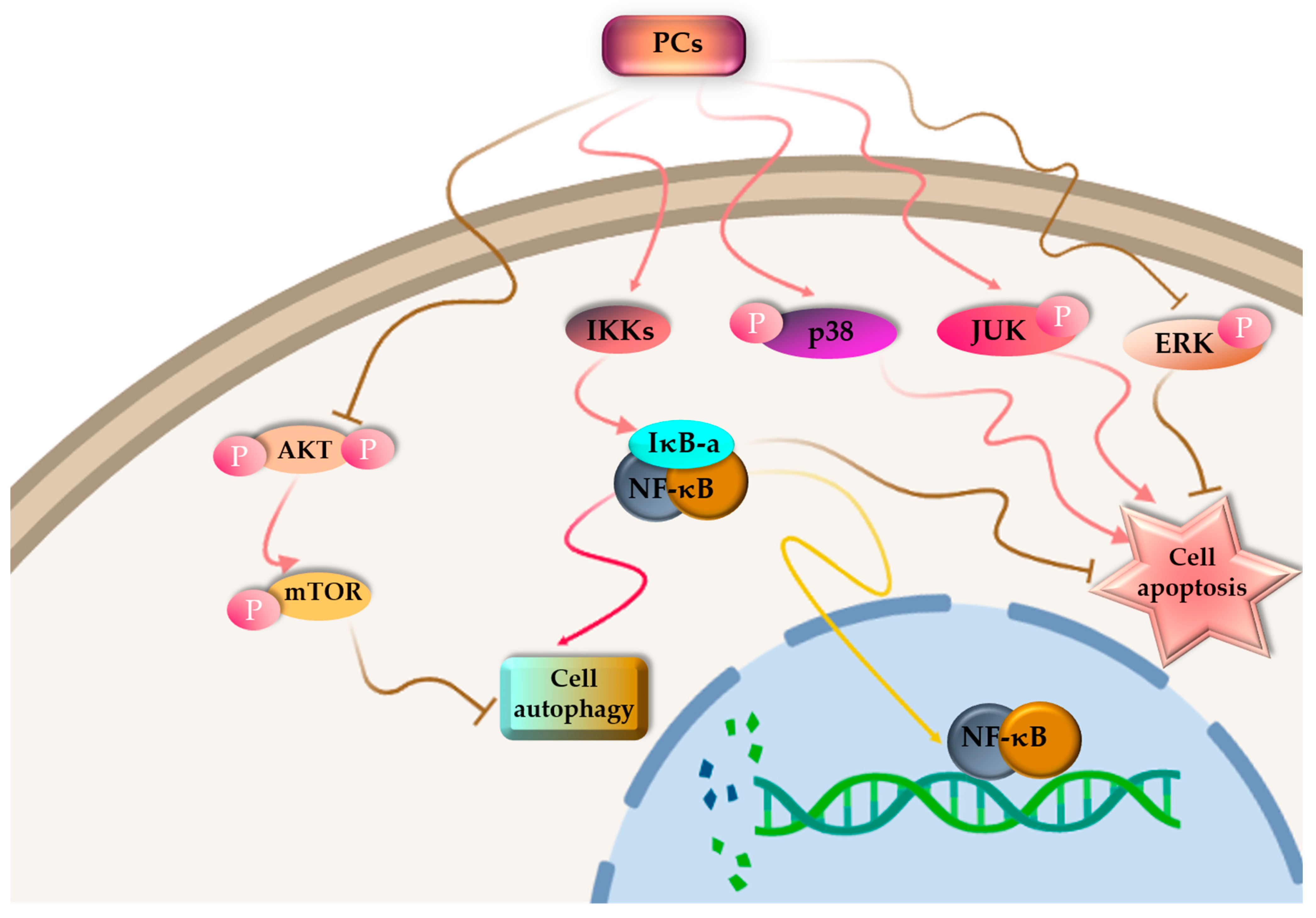 Marinedrugs 21 00440 g004