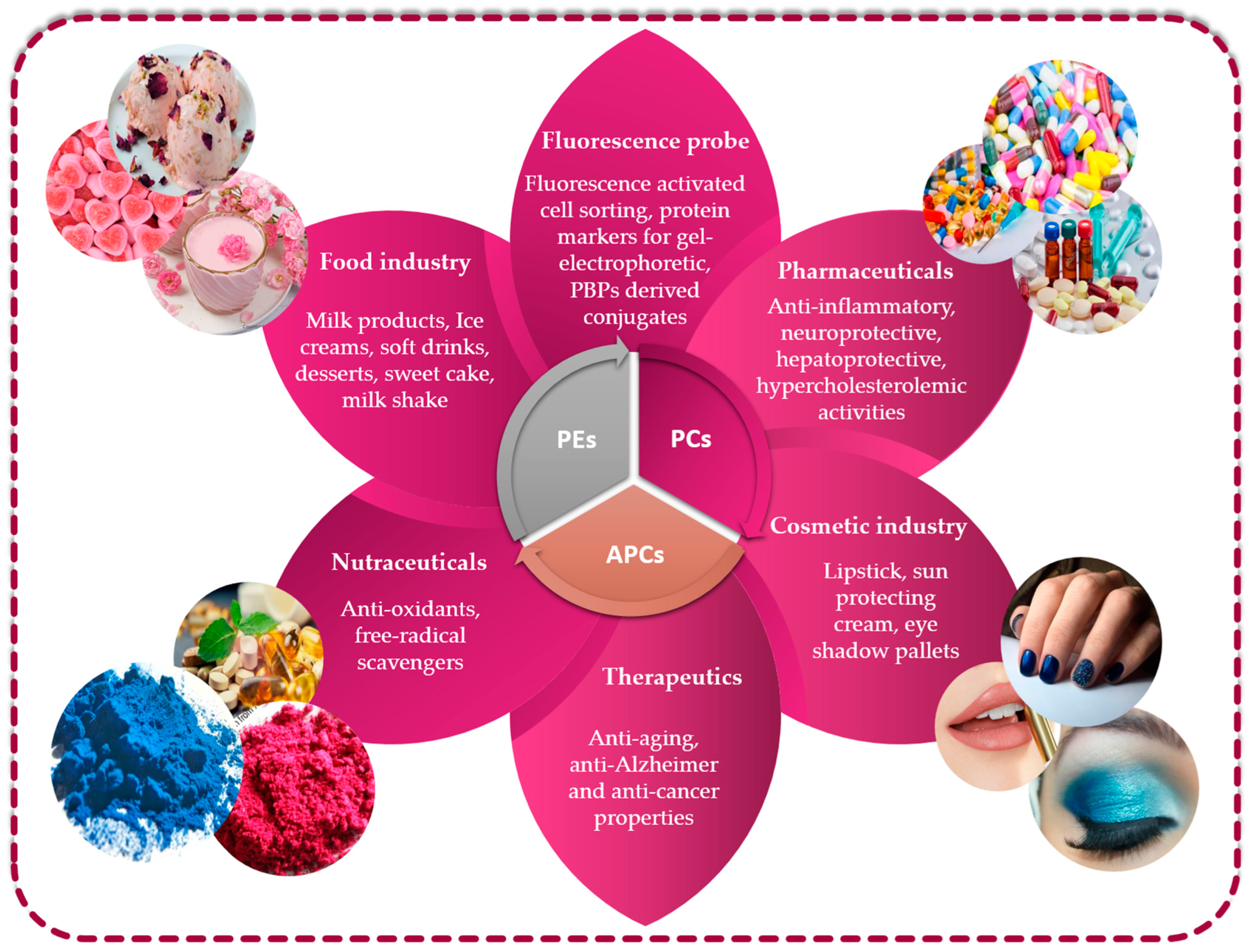 Marinedrugs 21 00440 g005