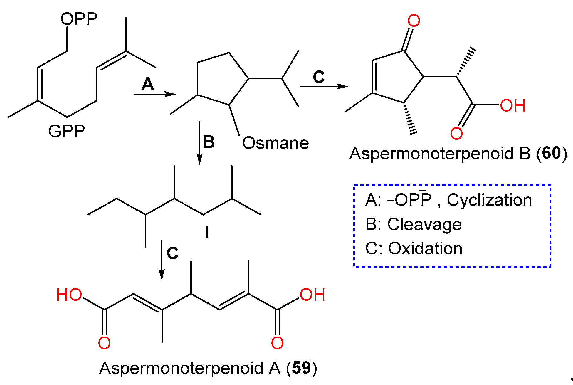 Marinedrugs 21 00441 sch002