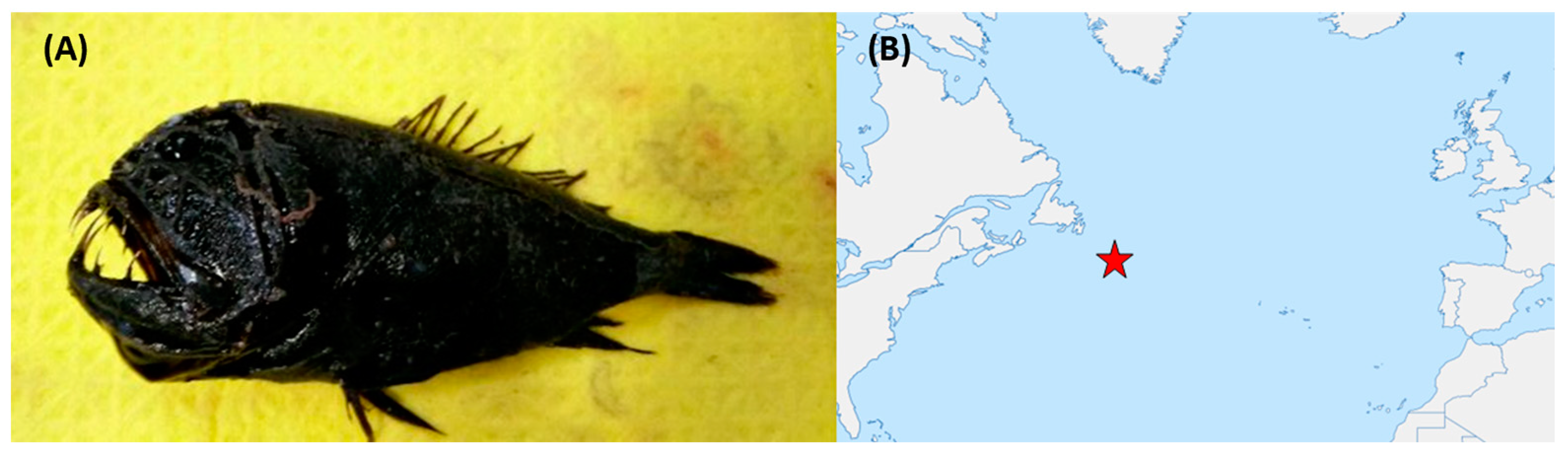 Marinedrugs 21 00444 g011