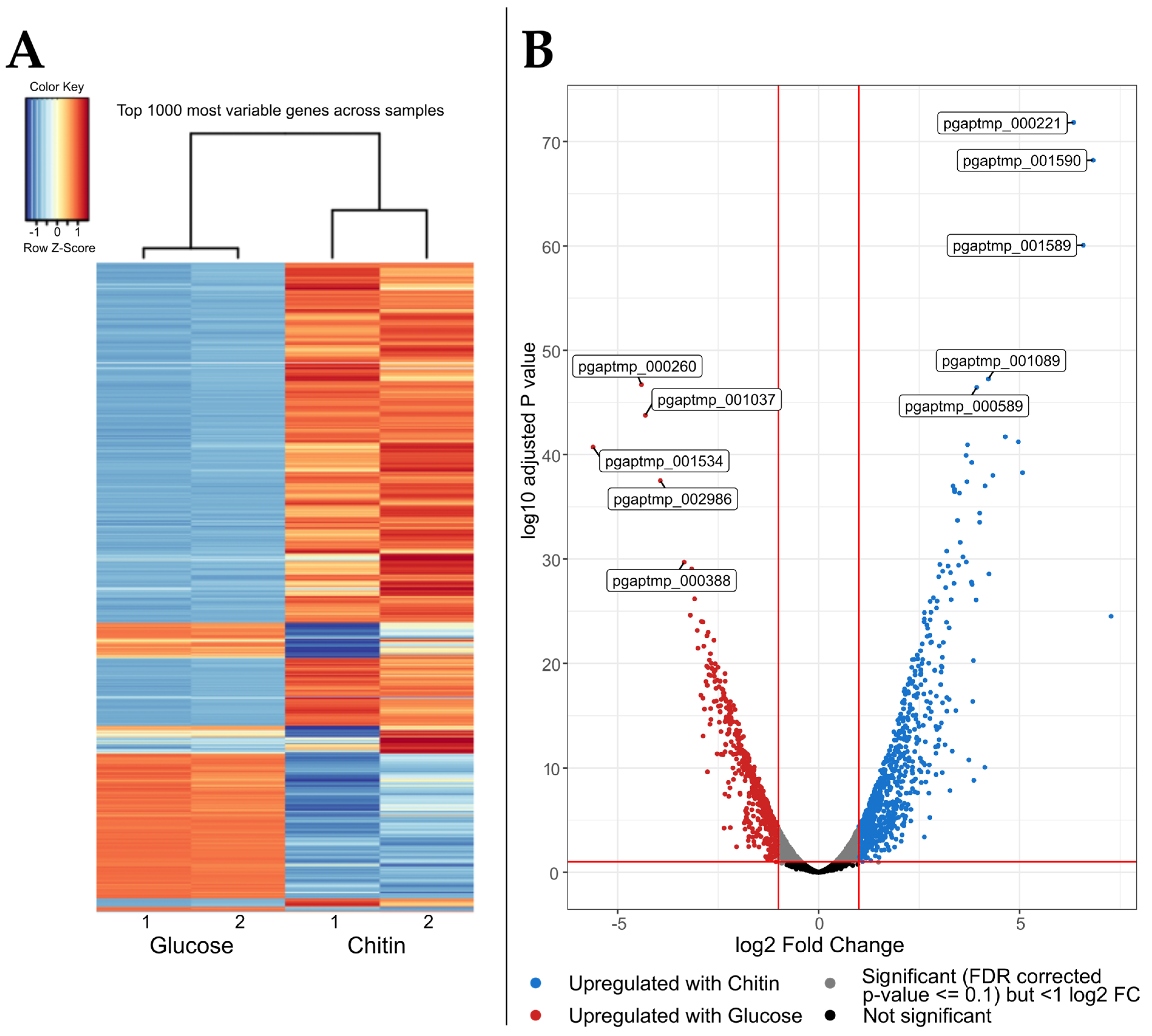 Marinedrugs 21 00448 g004