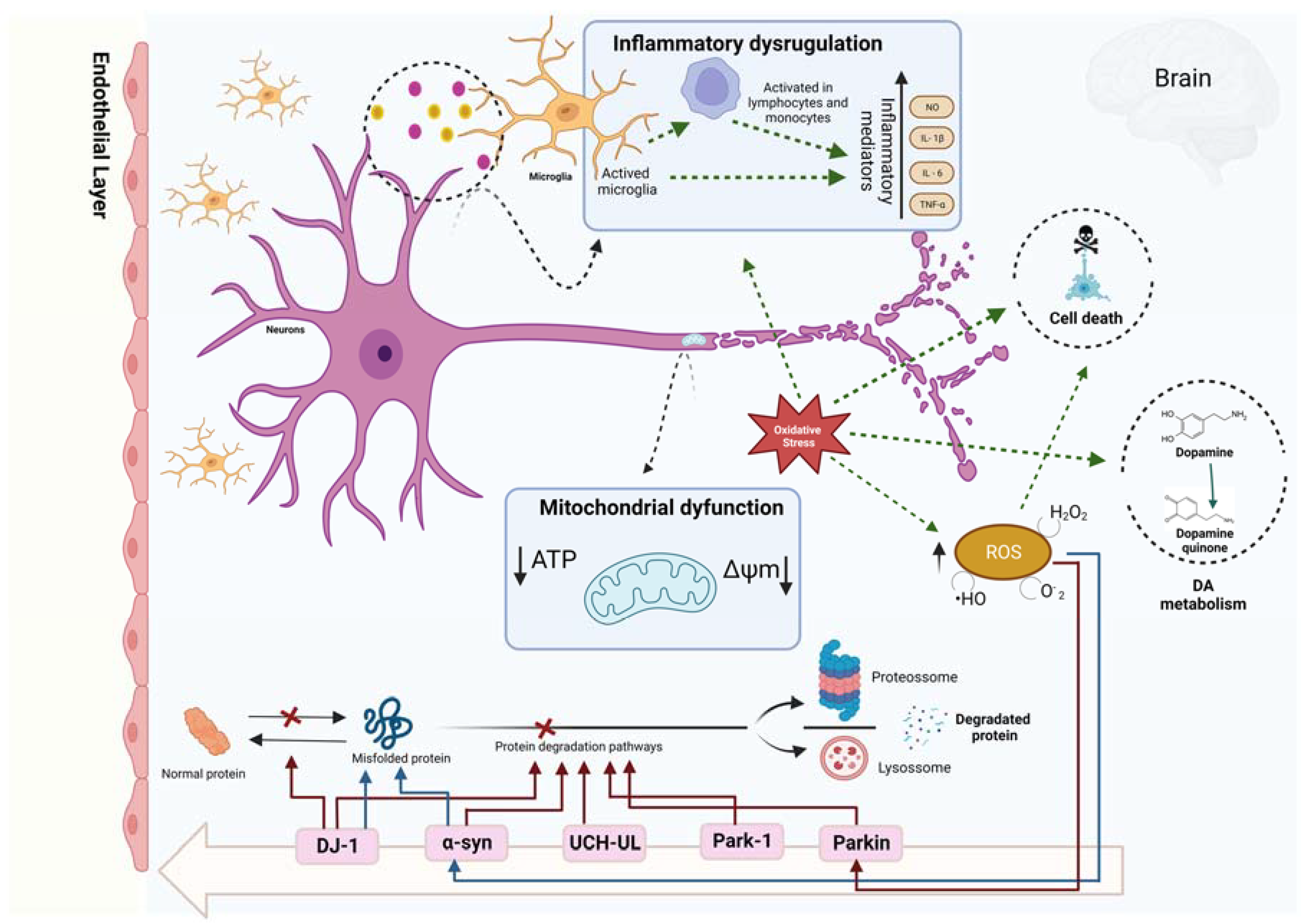 Marinedrugs 21 00451 g002