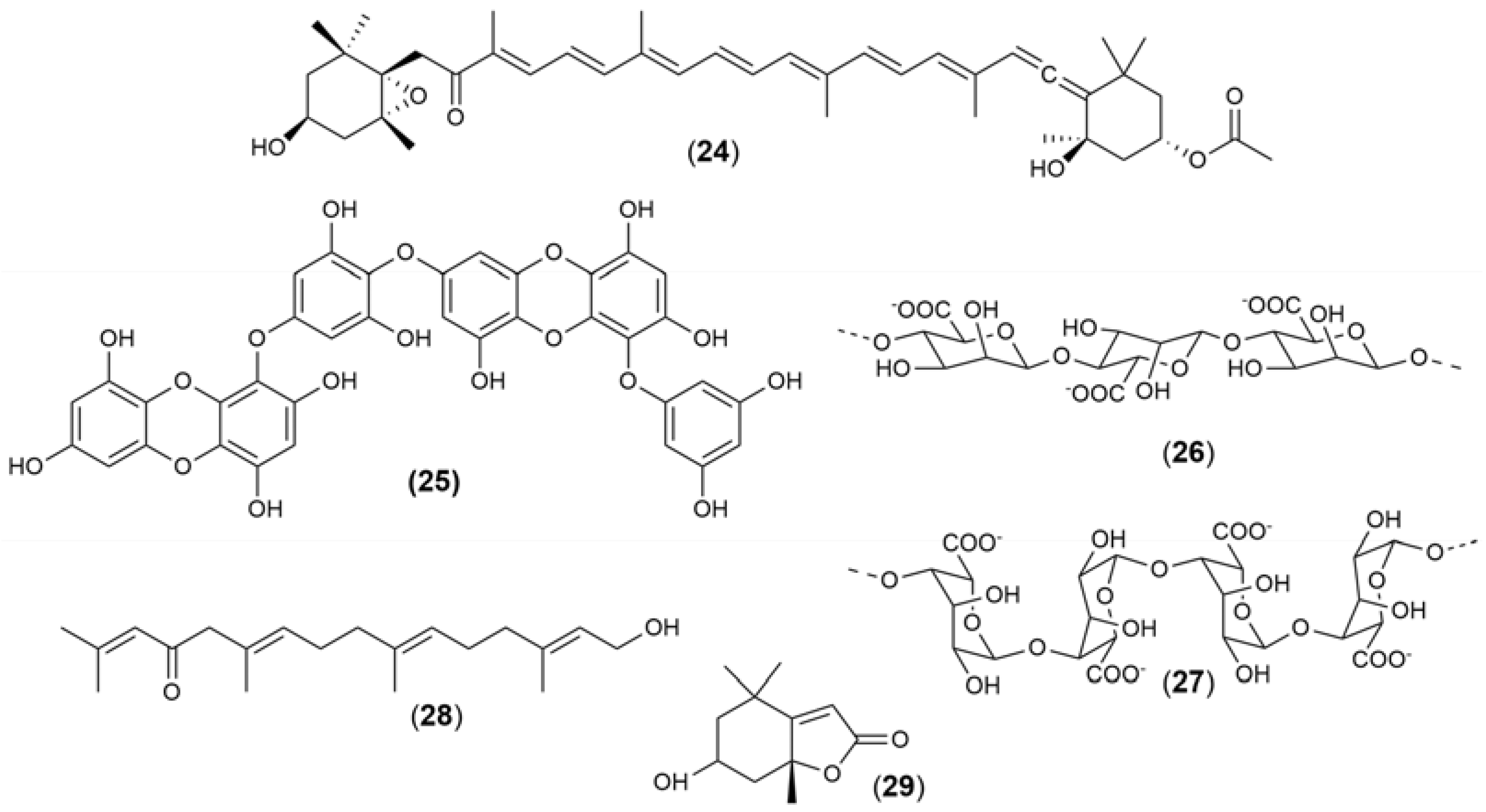 Marinedrugs 21 00451 g009