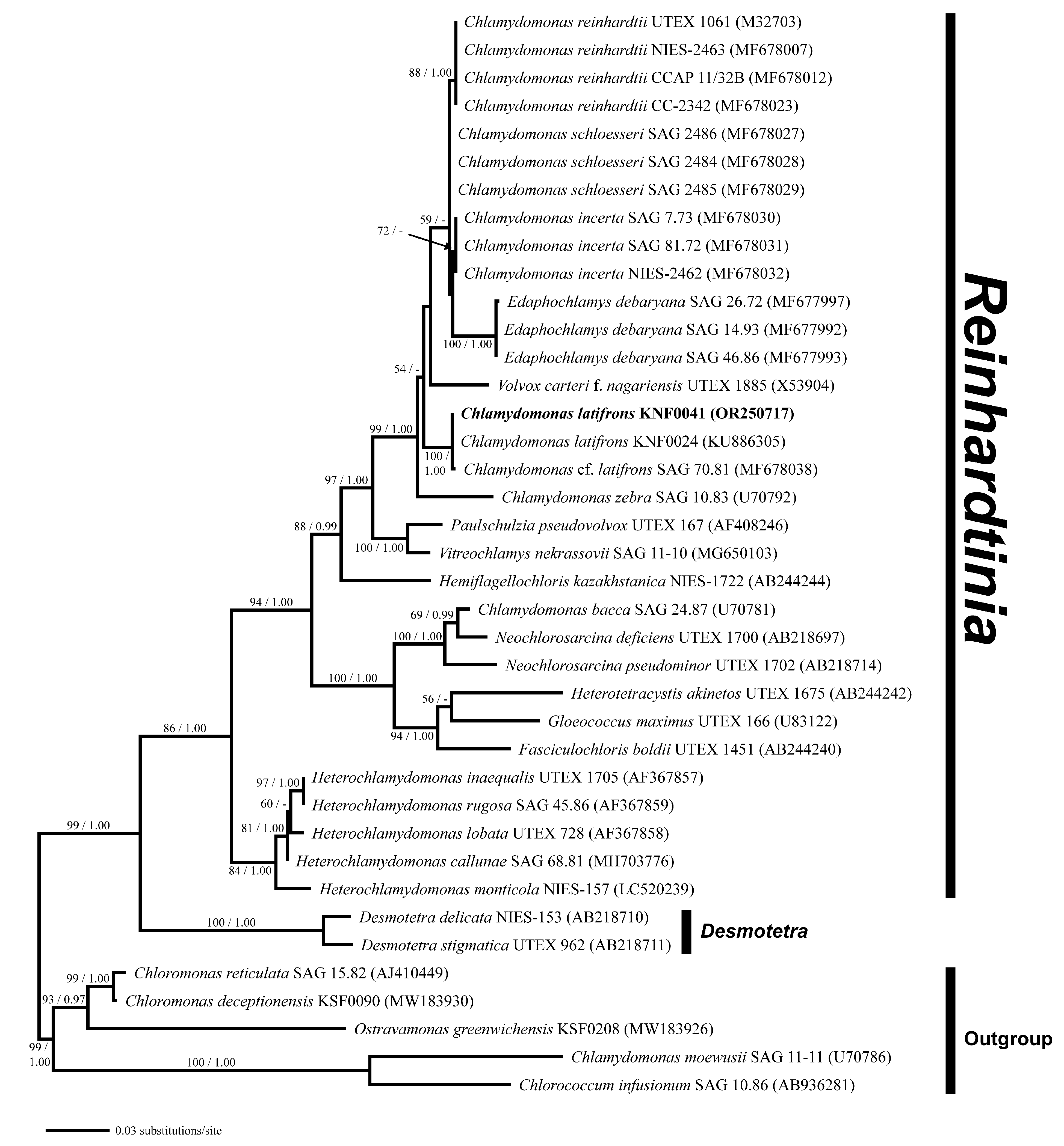 Marinedrugs 21 00454 g003