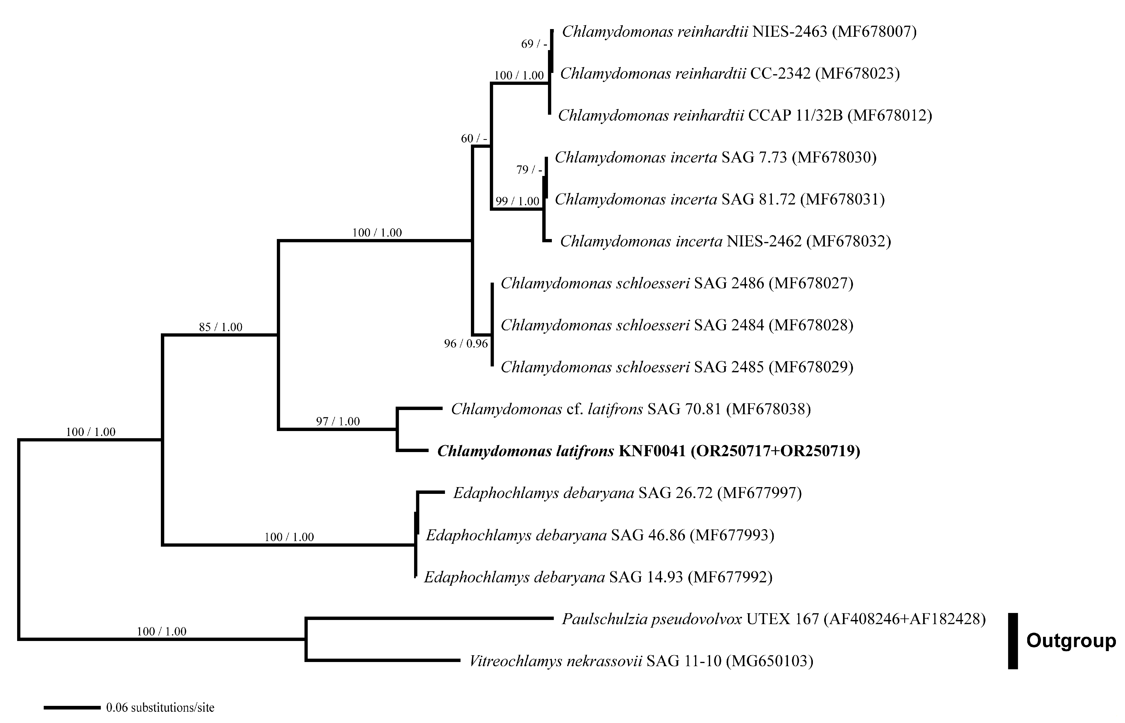 Marinedrugs 21 00454 g004