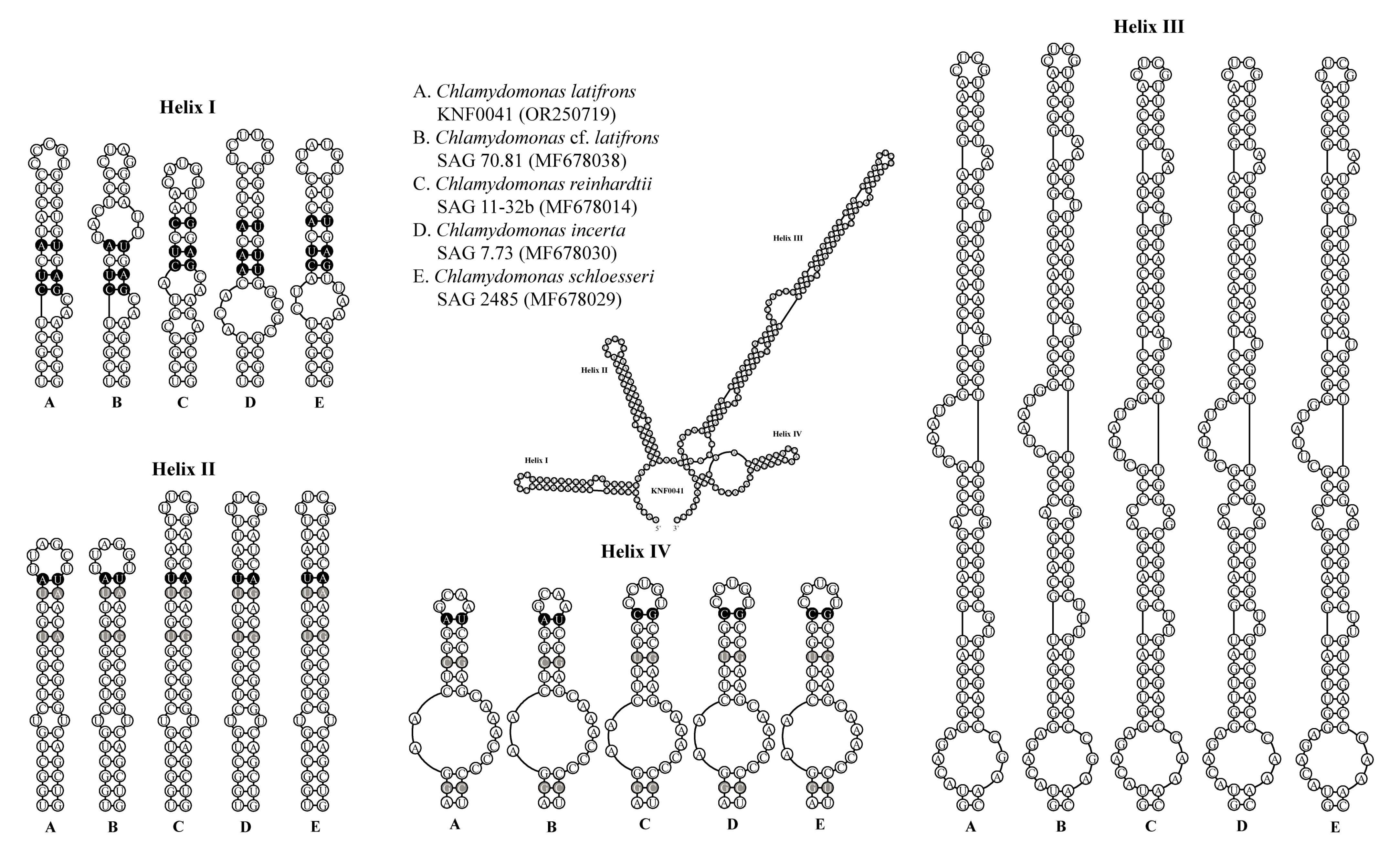 Marinedrugs 21 00454 g006