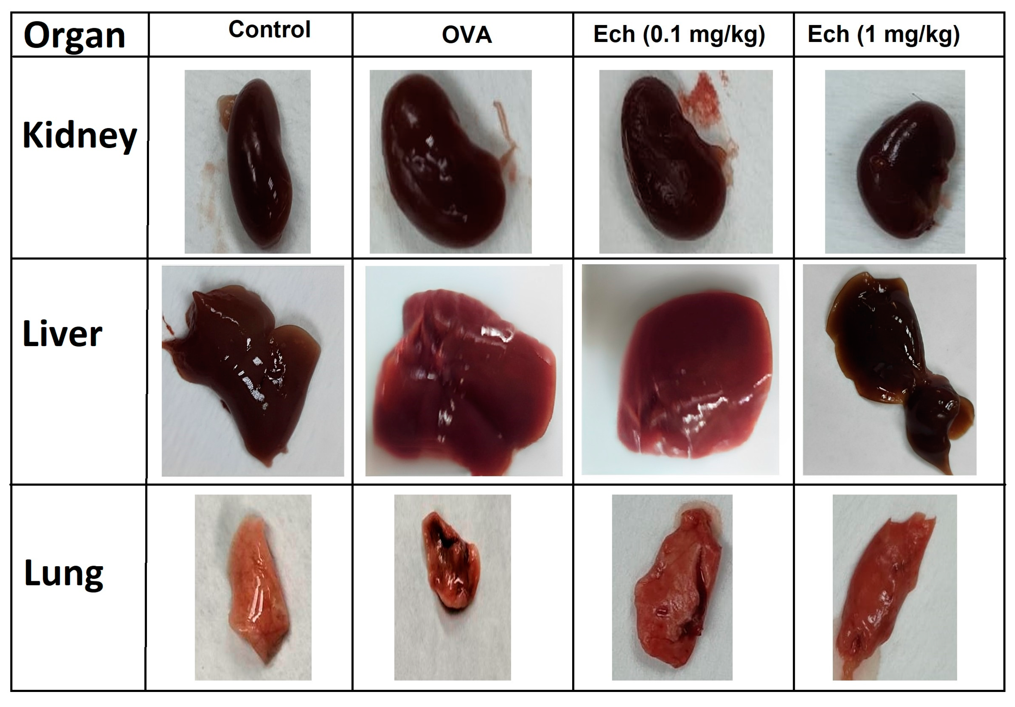 Marinedrugs 21 00455 g006