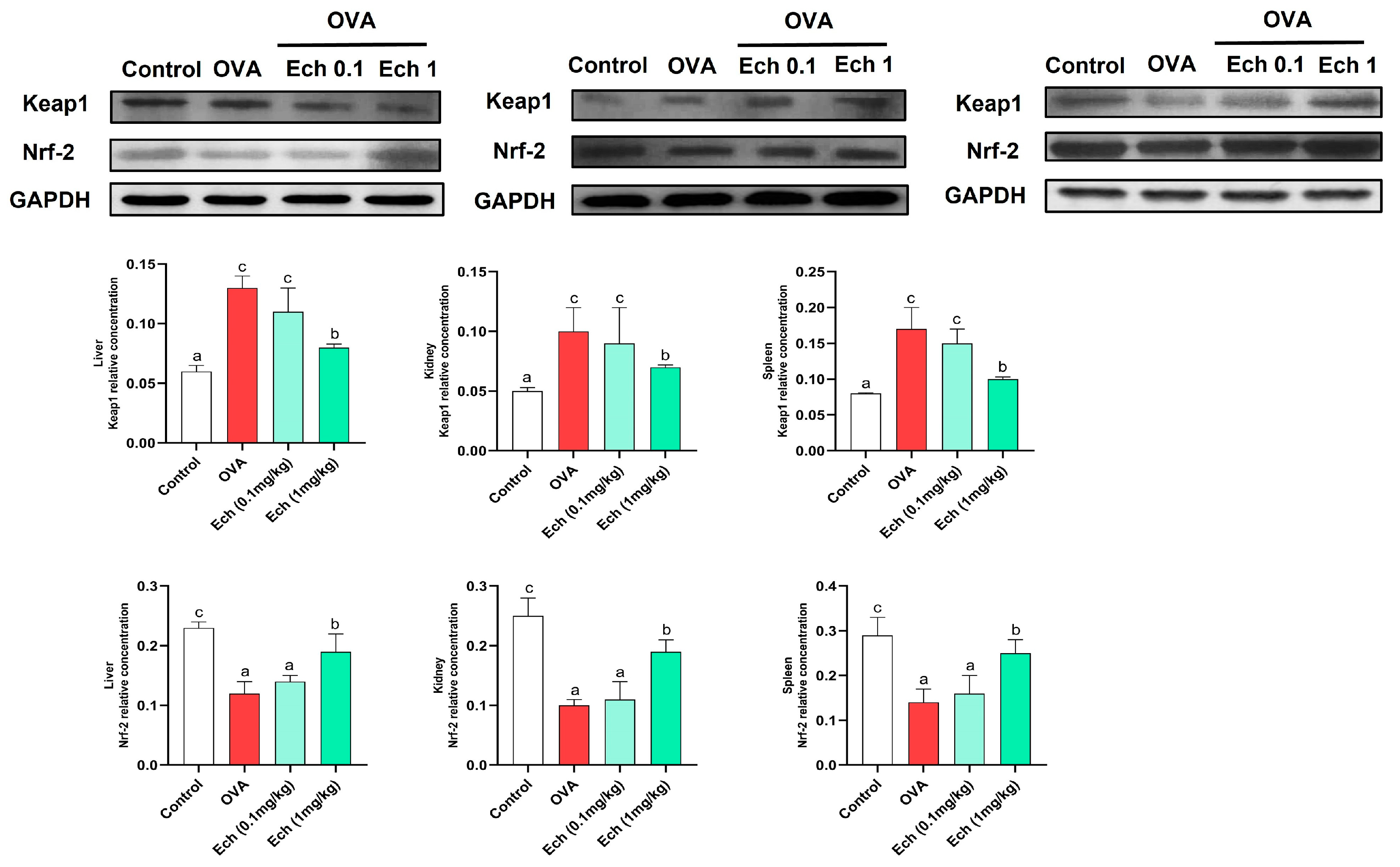 Marinedrugs 21 00455 g009