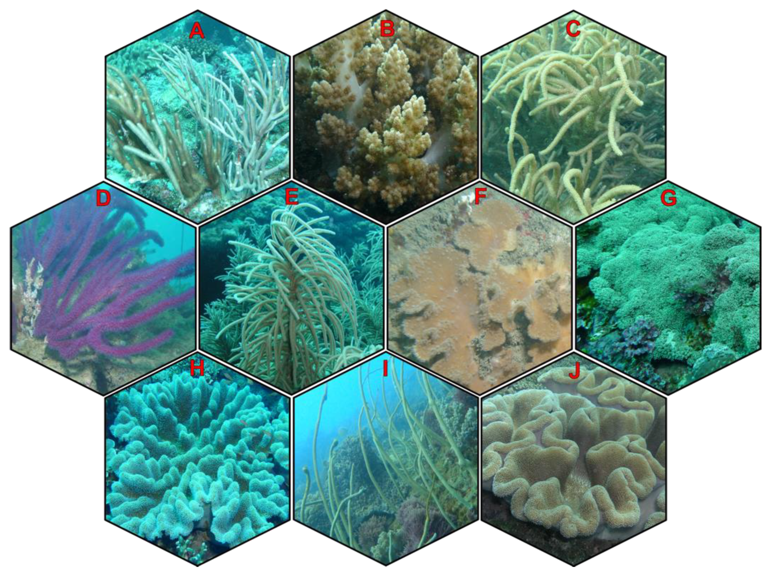 Marinedrugs 21 00456 g002