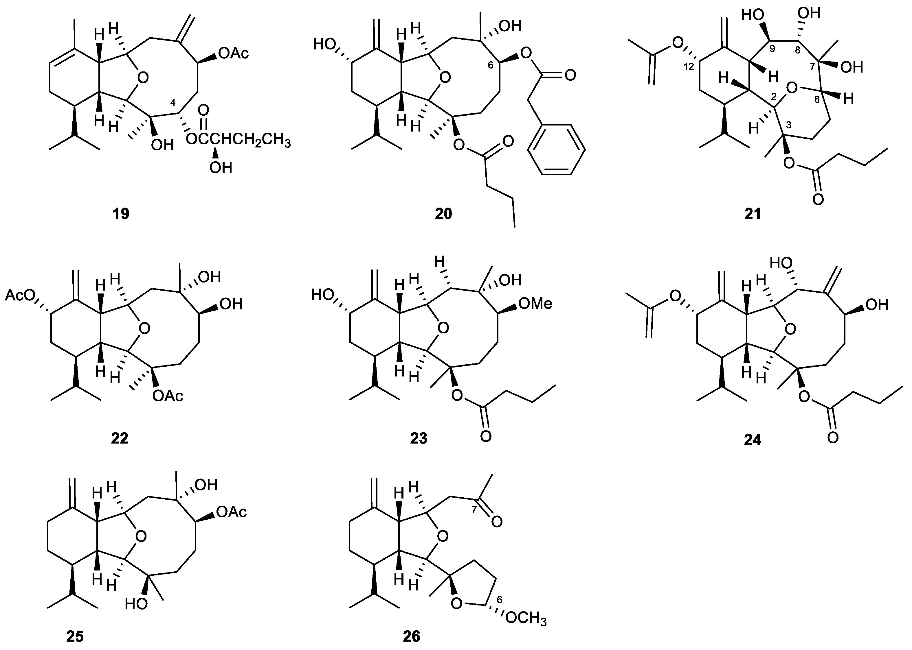 Marinedrugs 21 00456 g006