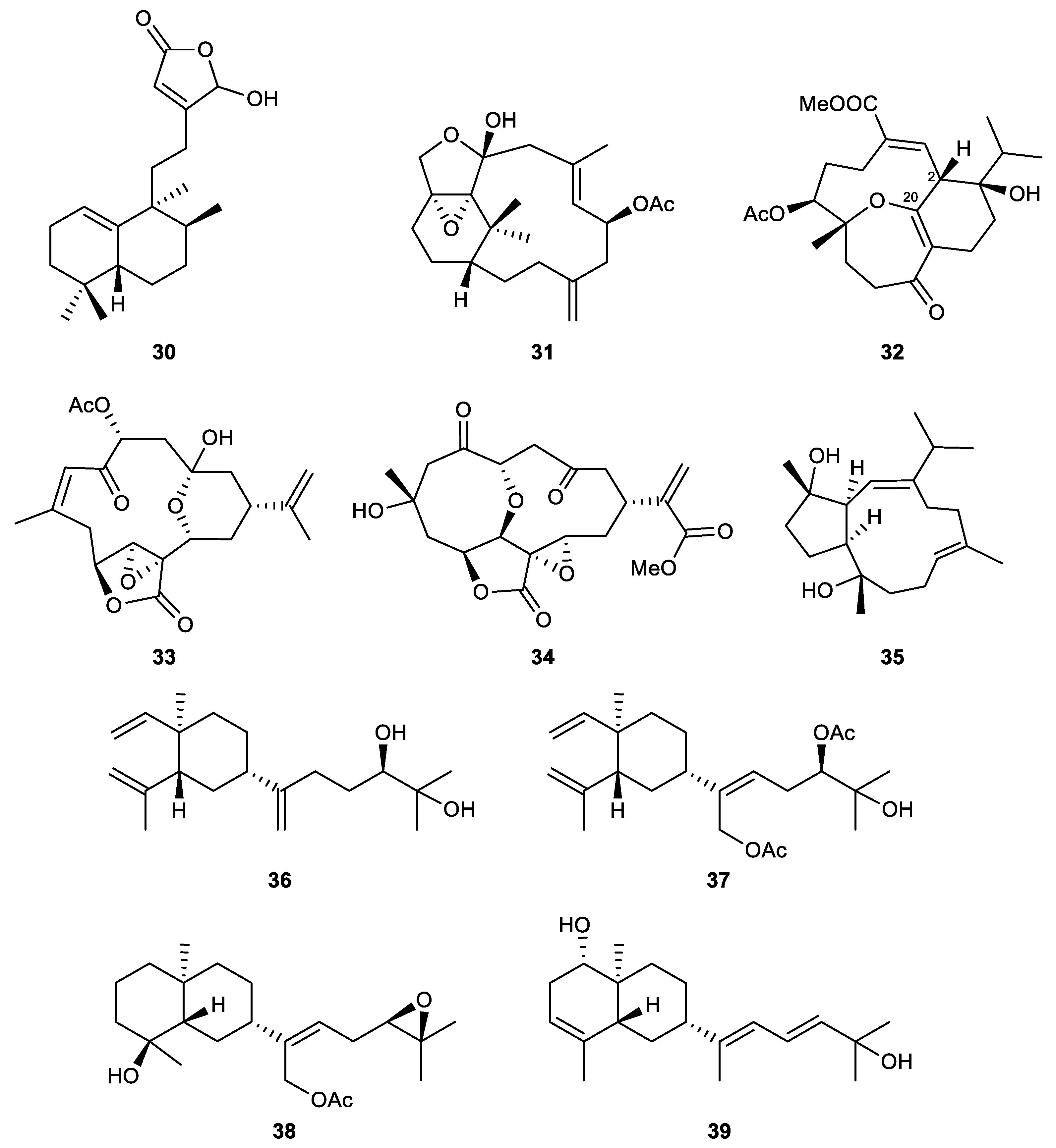 Marinedrugs 21 00456 g008
