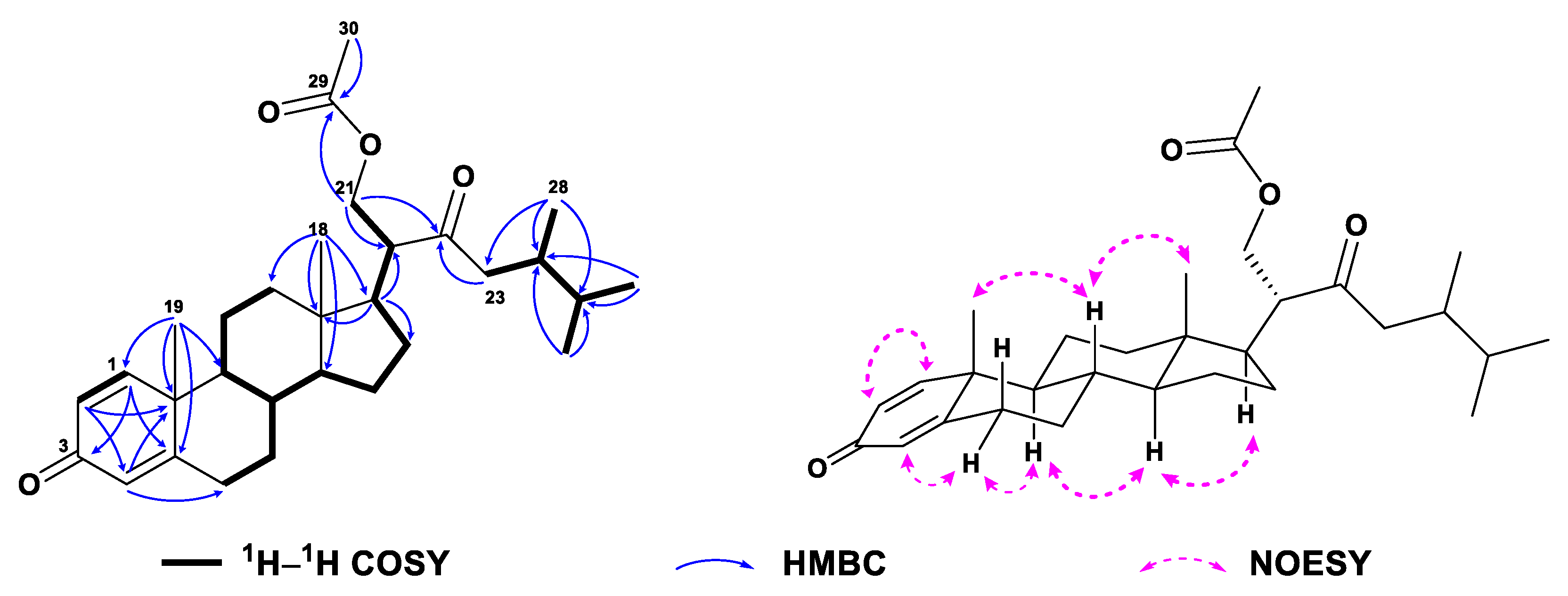 Marinedrugs 21 00457 g005