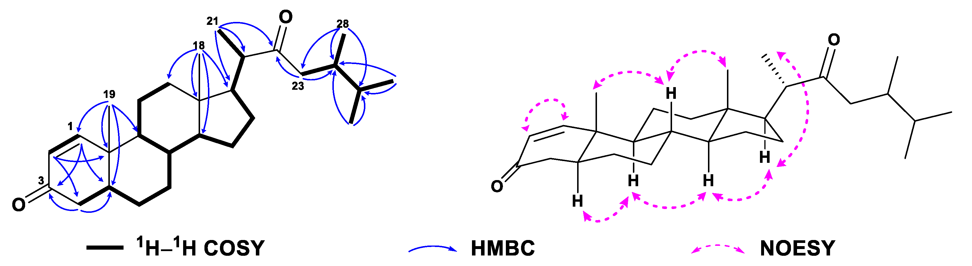 Marinedrugs 21 00457 g007