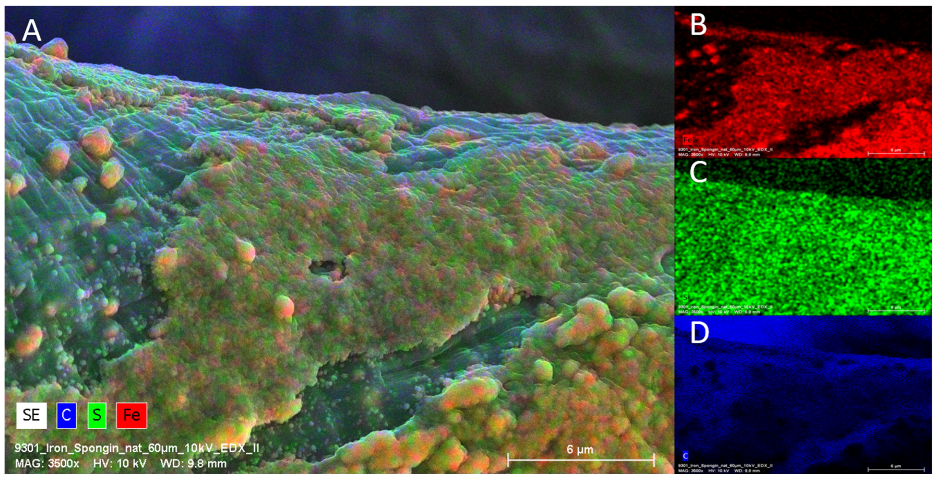 Marinedrugs 21 00460 g005