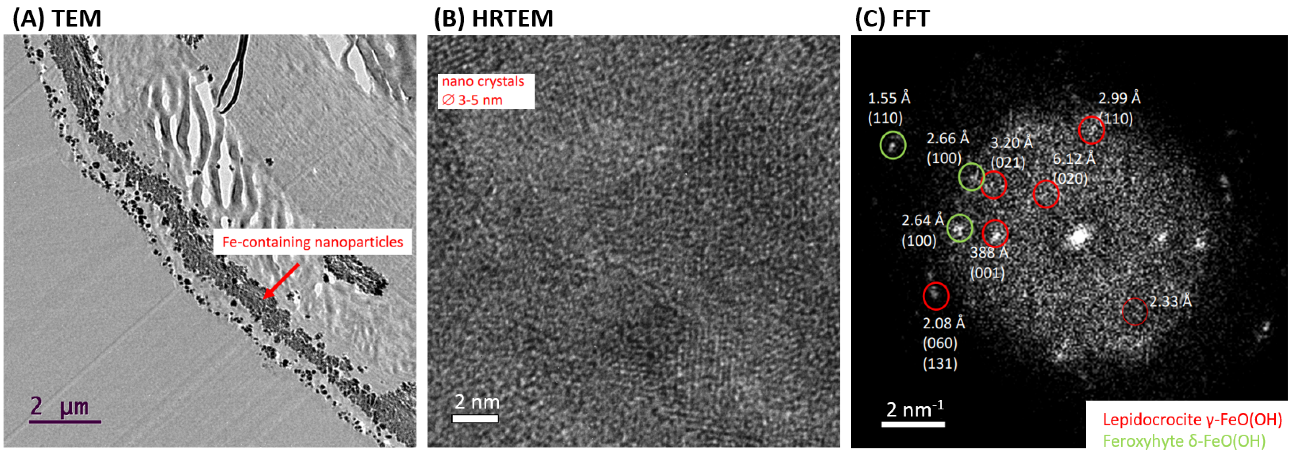 Marinedrugs 21 00460 g008