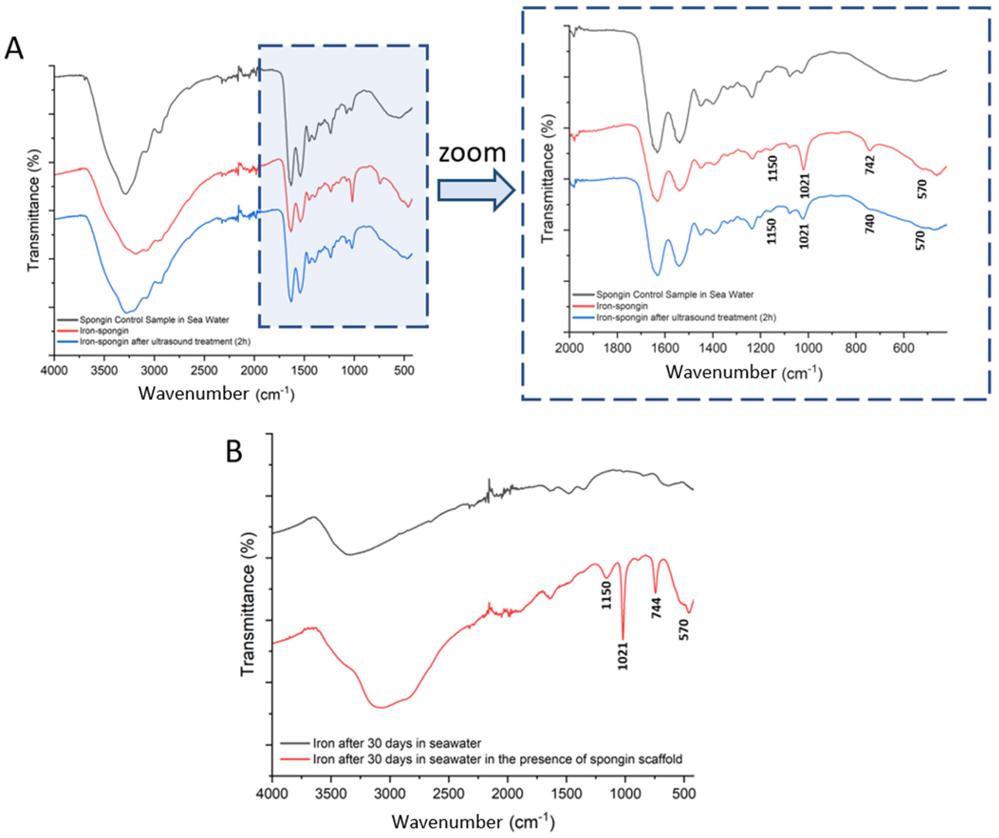 Marinedrugs 21 00460 g009