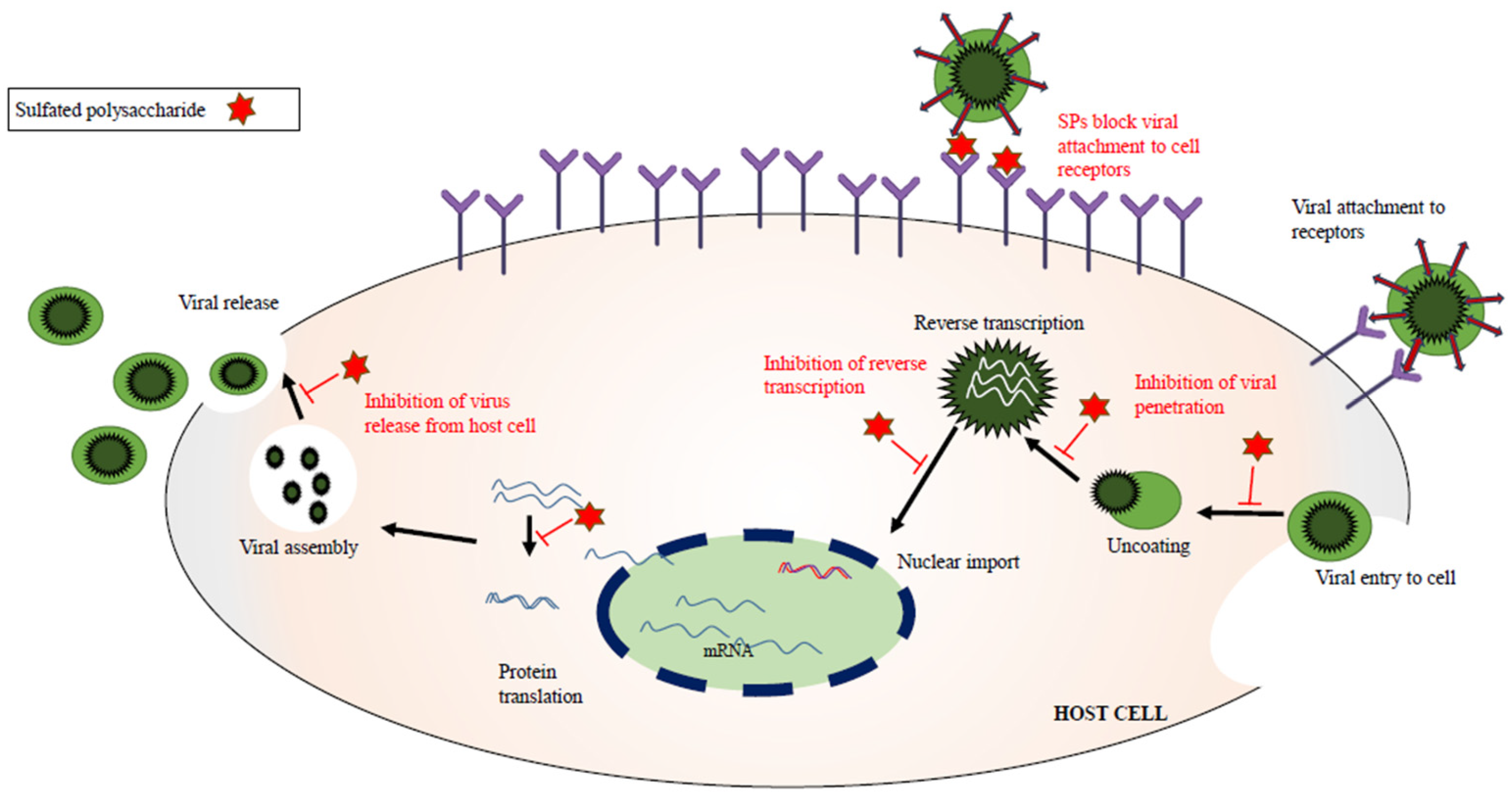 Marinedrugs 21 00461 g001