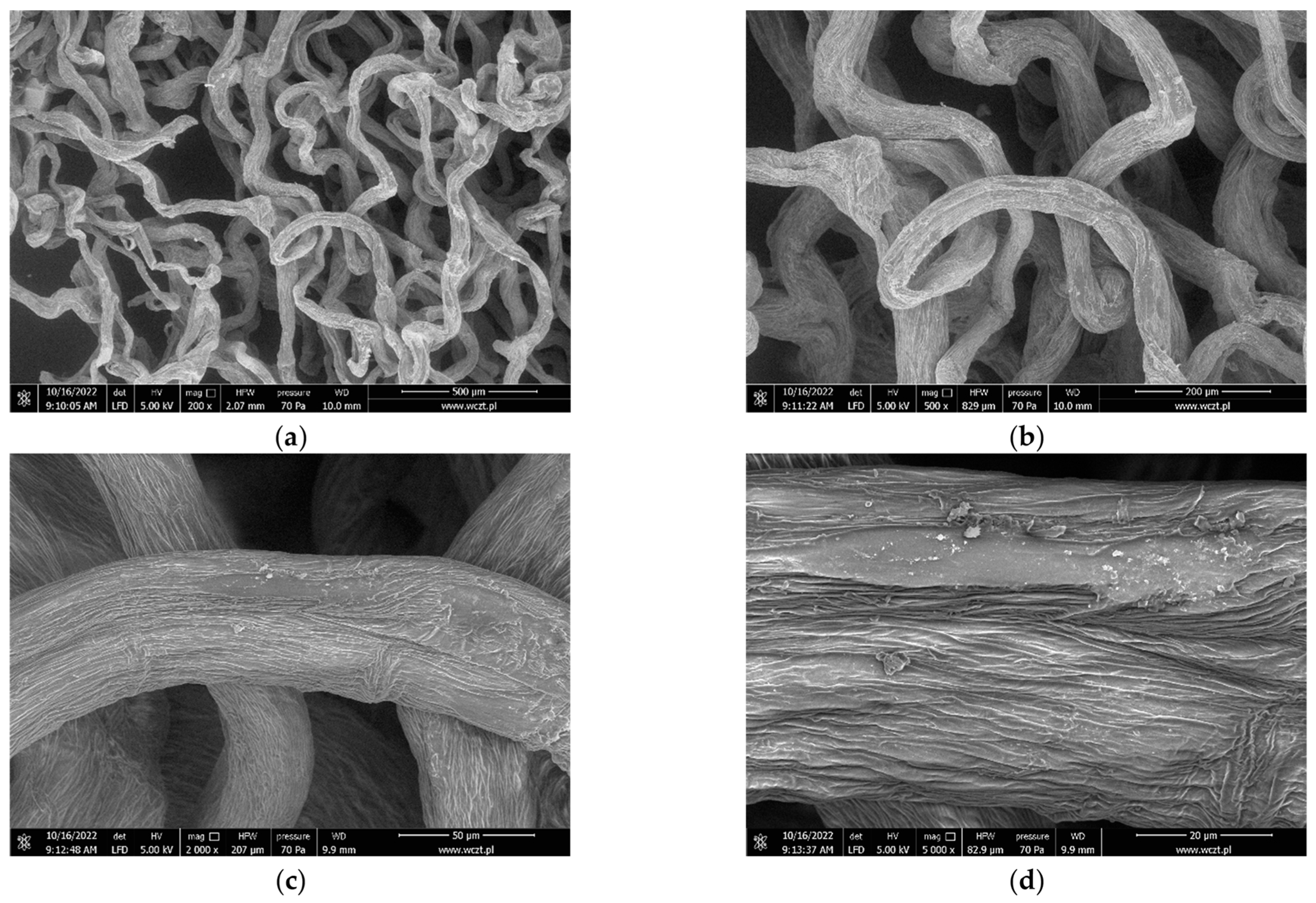 Marinedrugs 21 00463 g008