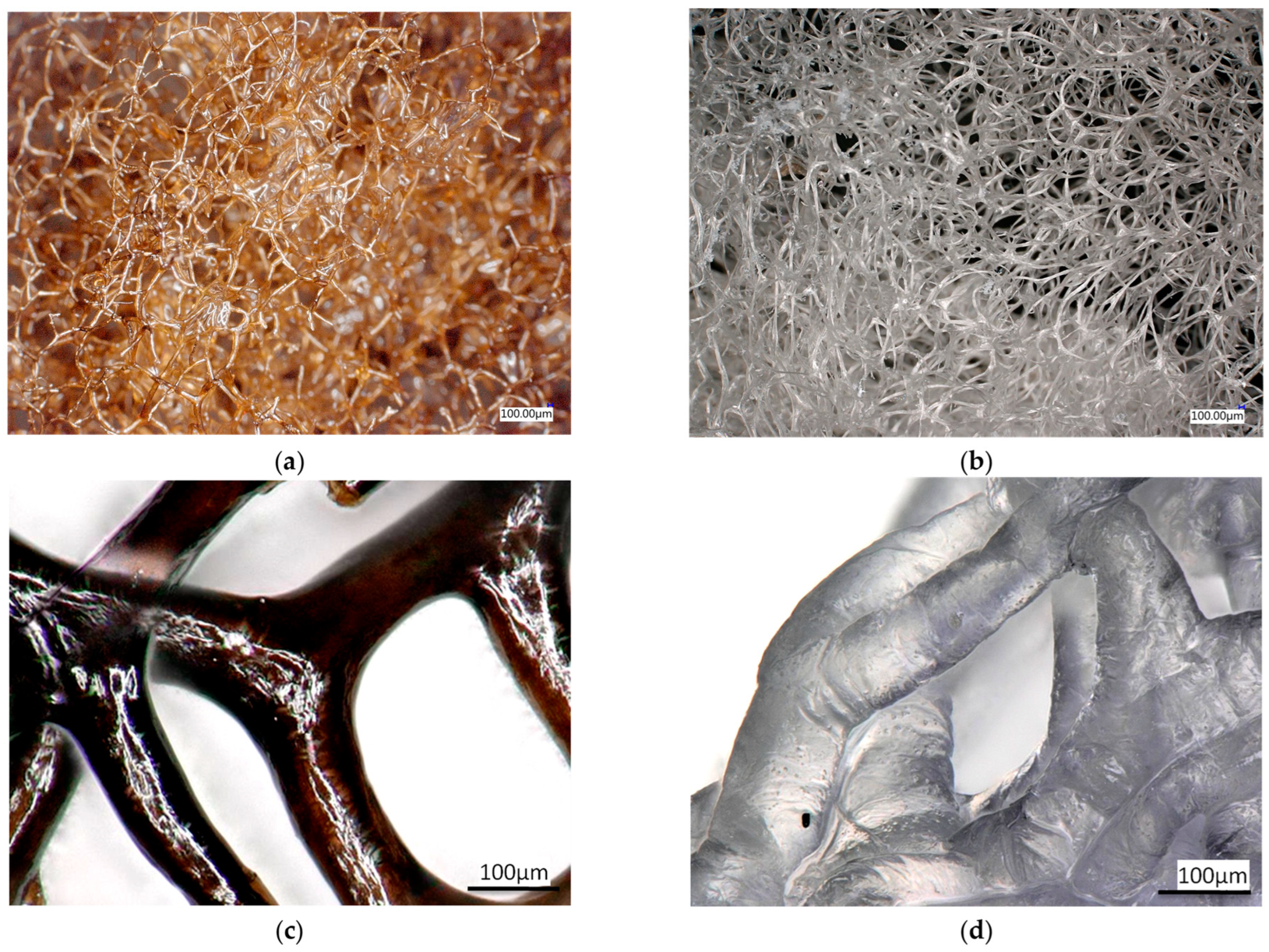 Marinedrugs 21 00463 g009