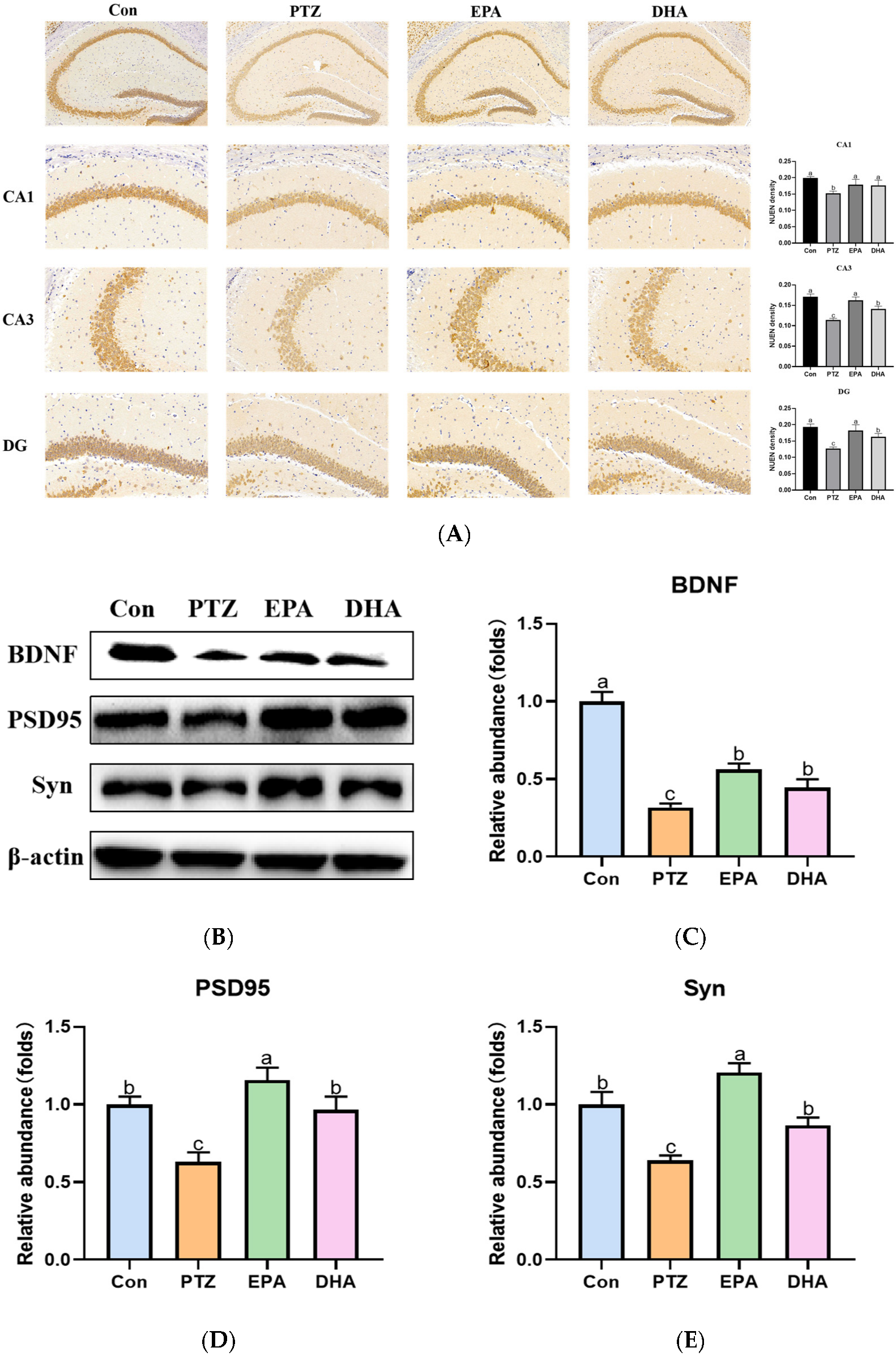 Marinedrugs 21 00464 g004