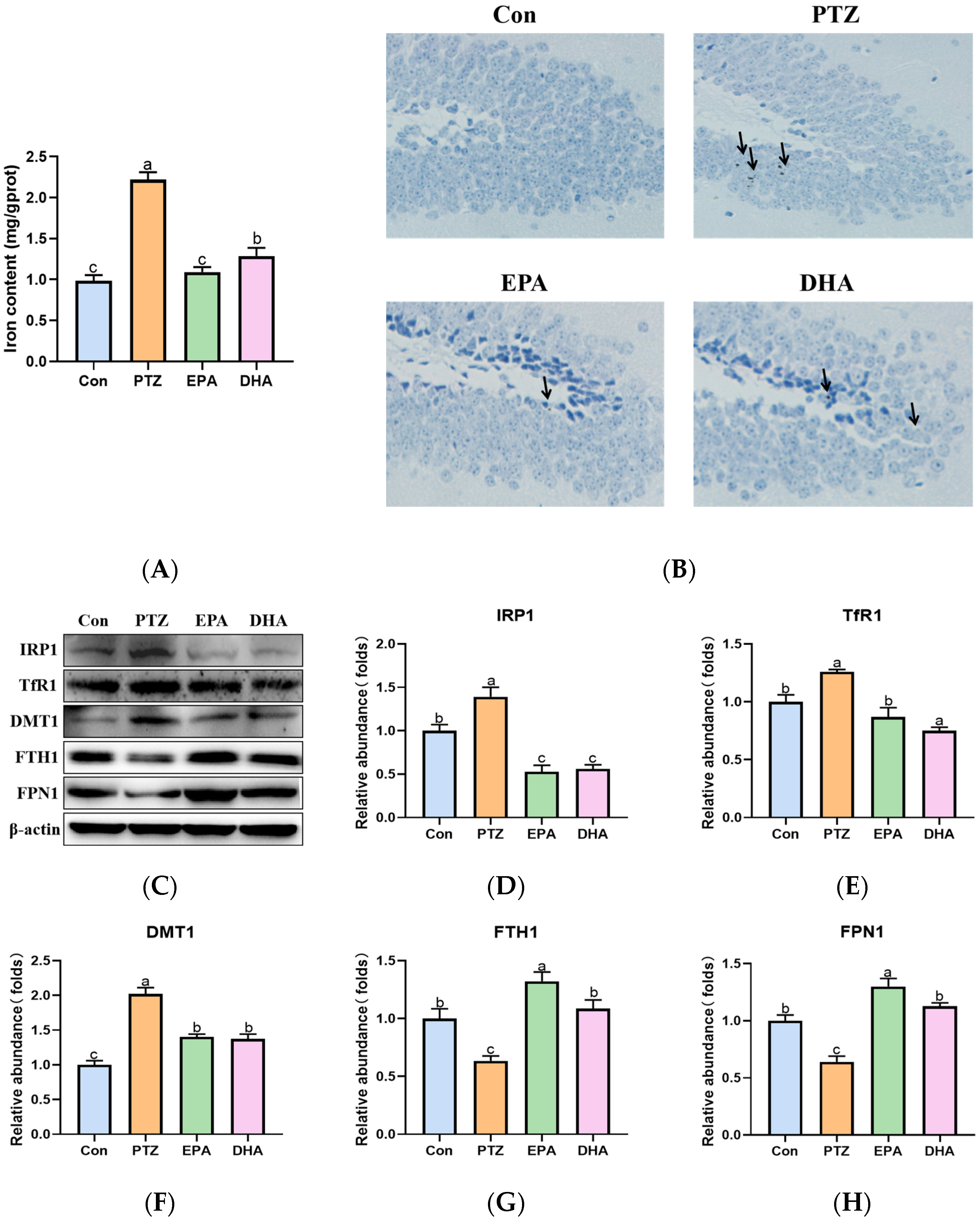 Marinedrugs 21 00464 g005