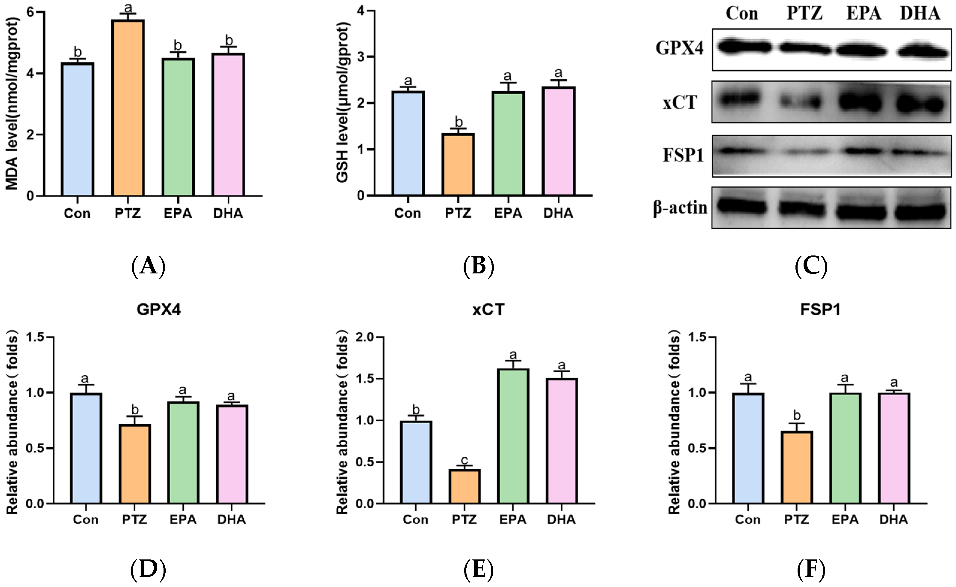 Marinedrugs 21 00464 g006