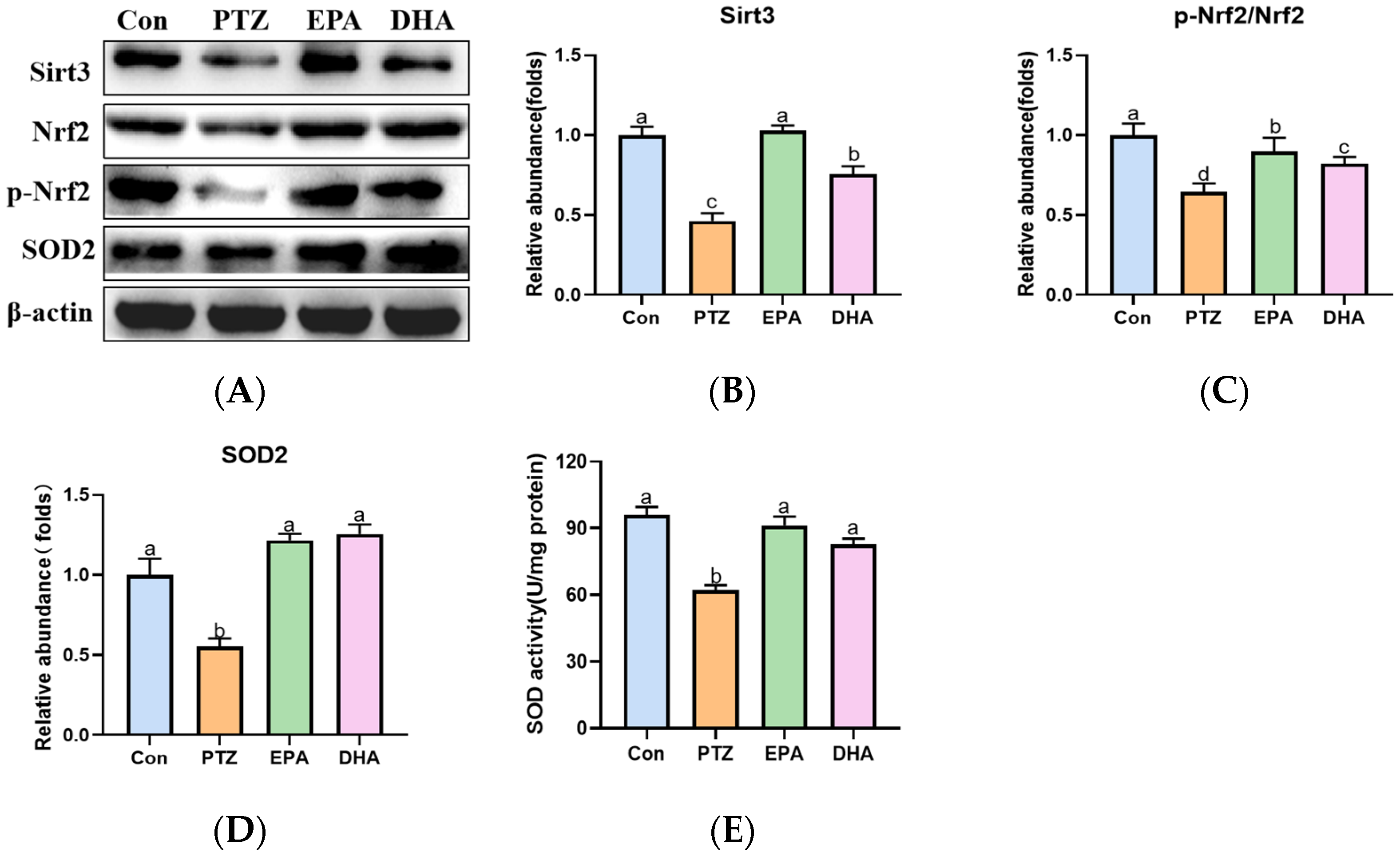 Marinedrugs 21 00464 g007