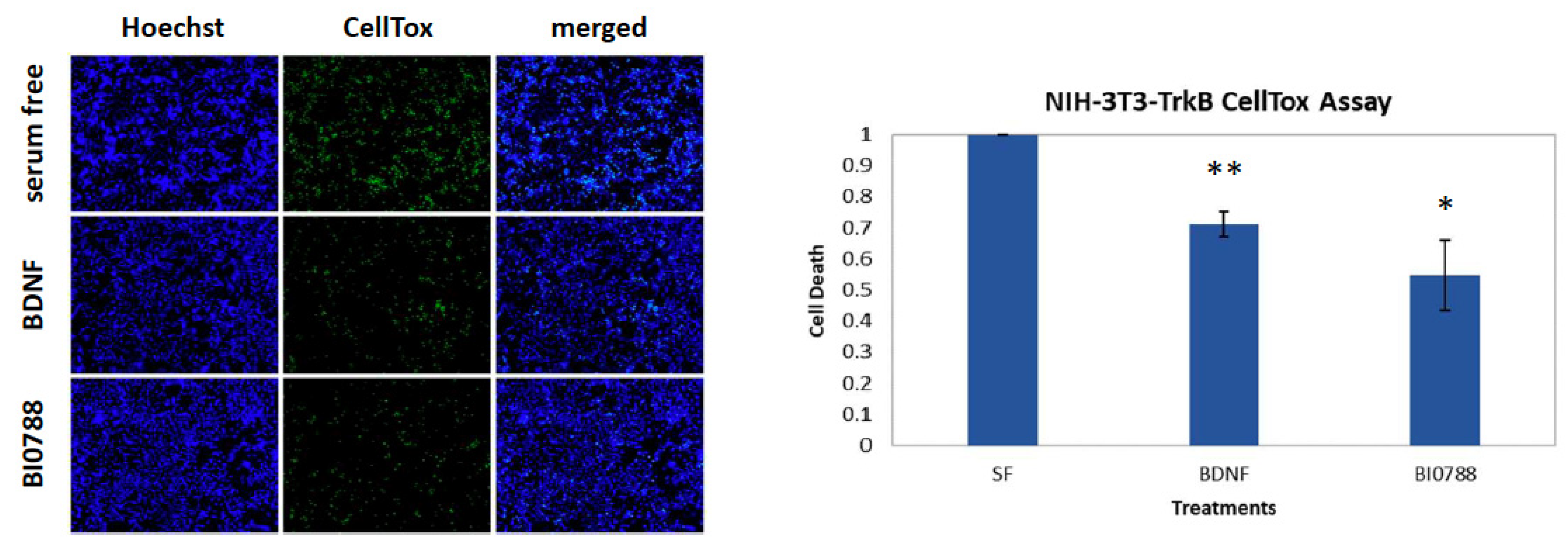 Marinedrugs 21 00465 g002 Marinedrugs 21 00465 g002