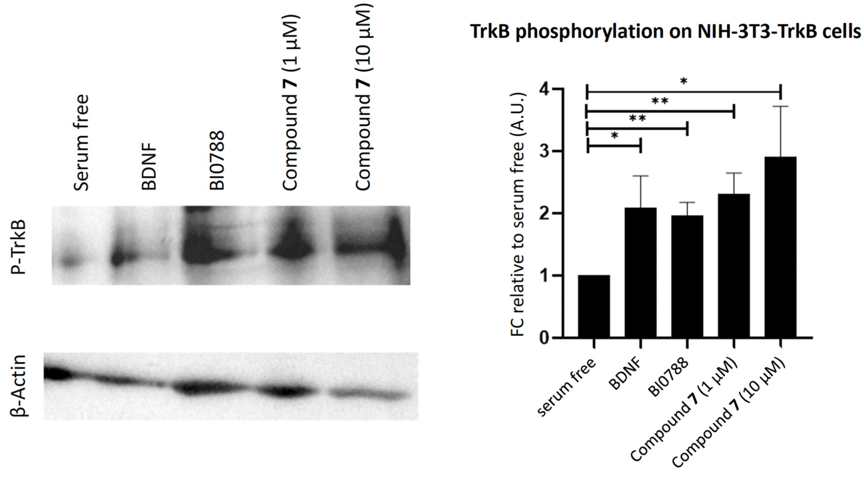 Marinedrugs 21 00465 g007 Marinedrugs 21 00465 g007