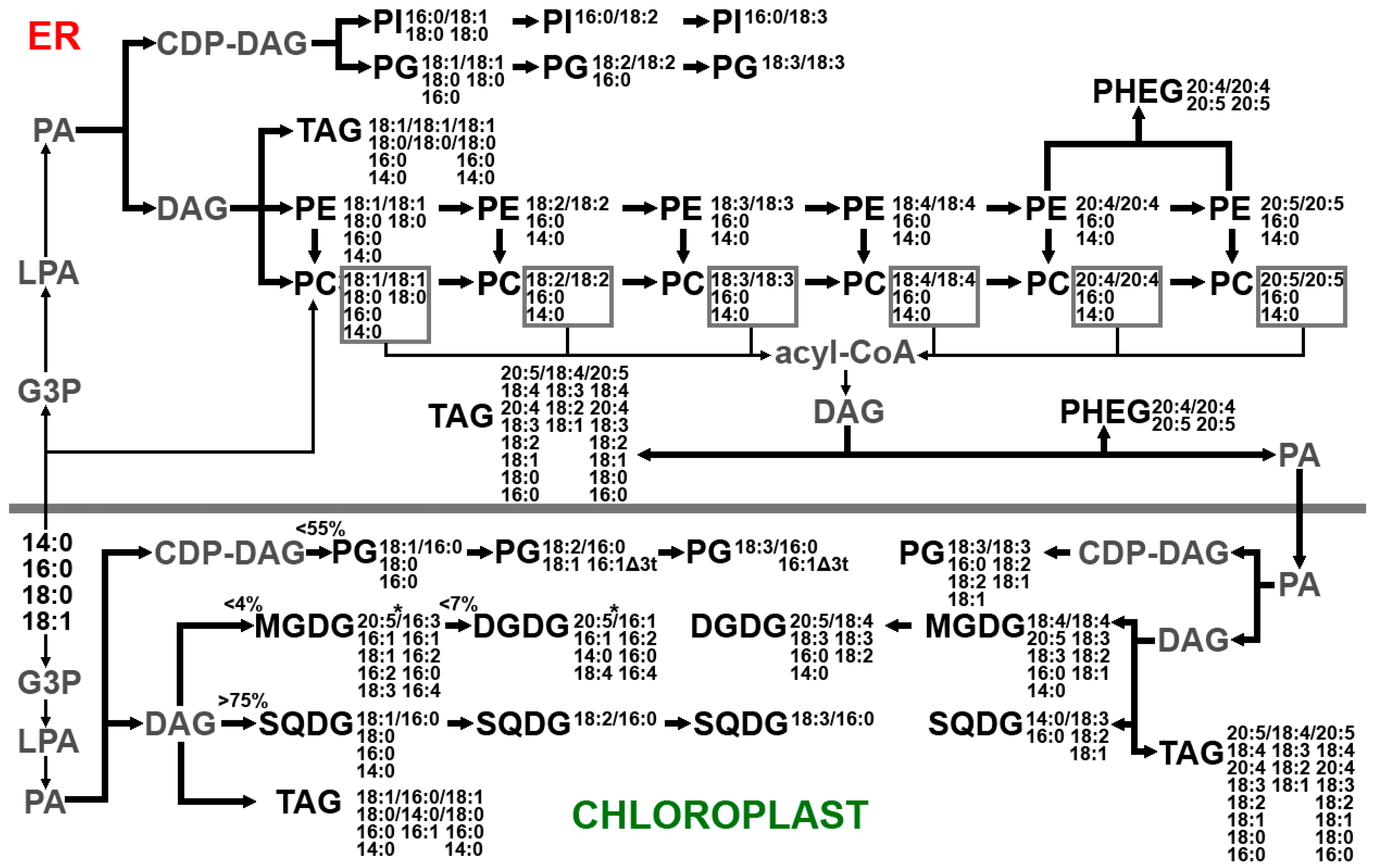 Marinedrugs 21 00466 g011